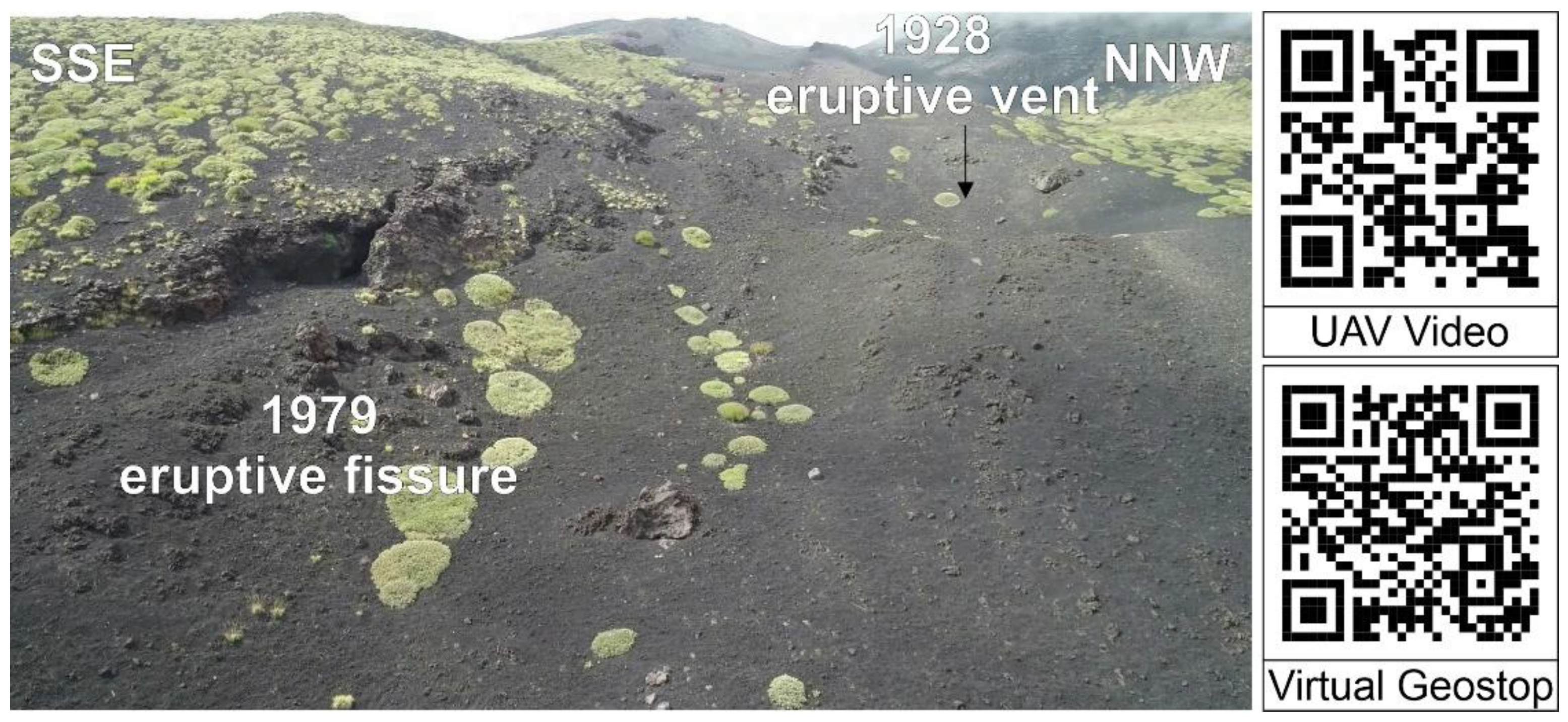 Land 11 00377 g004 550