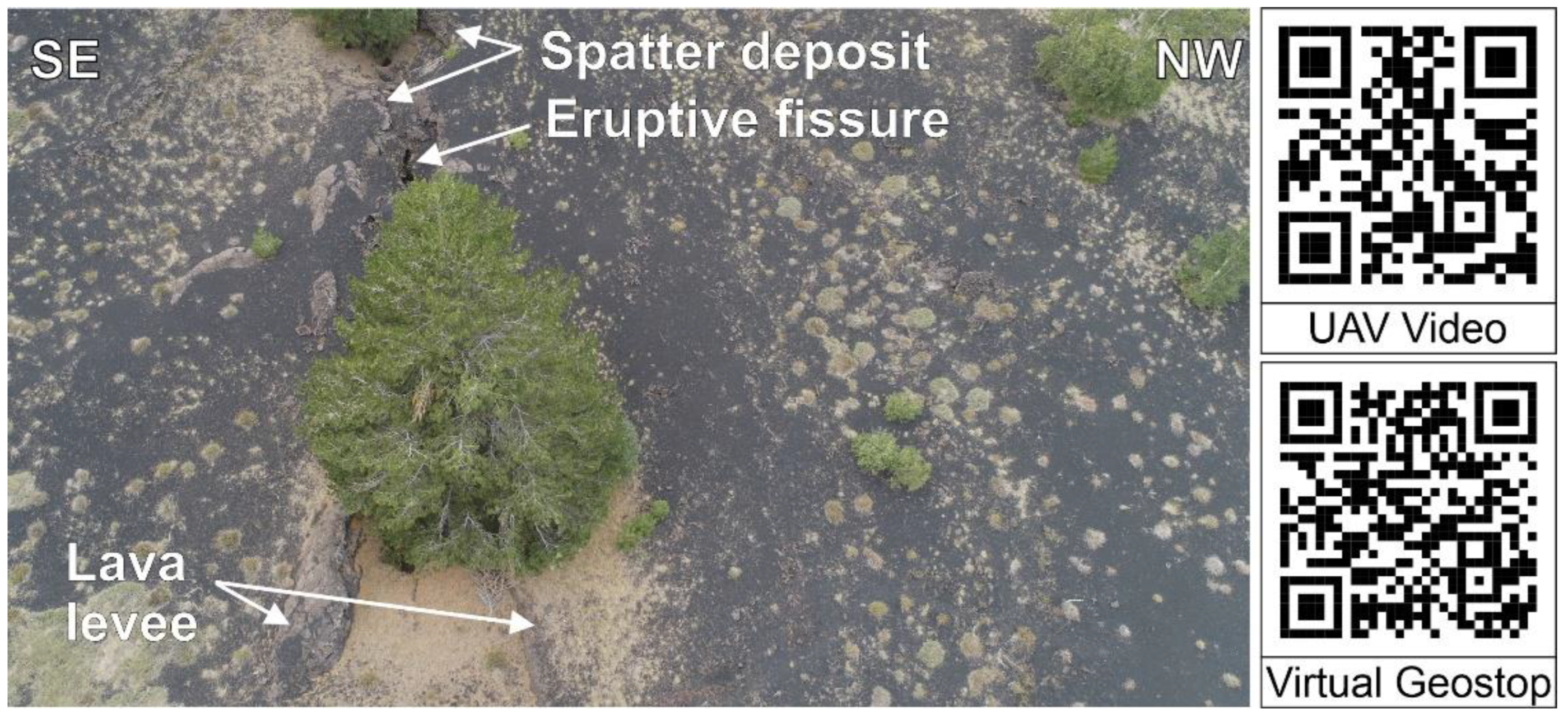 Land 11 00377 g008 550