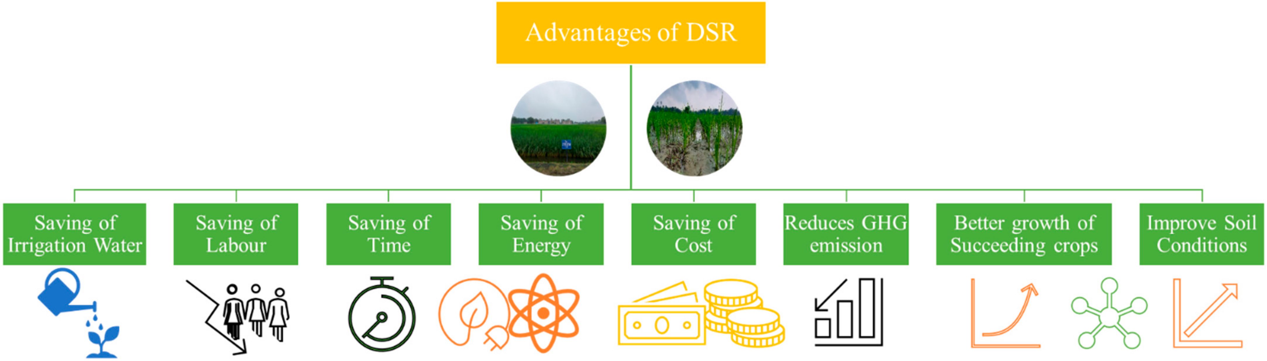 Land 11 00382 g009 Land 11 00382 g009