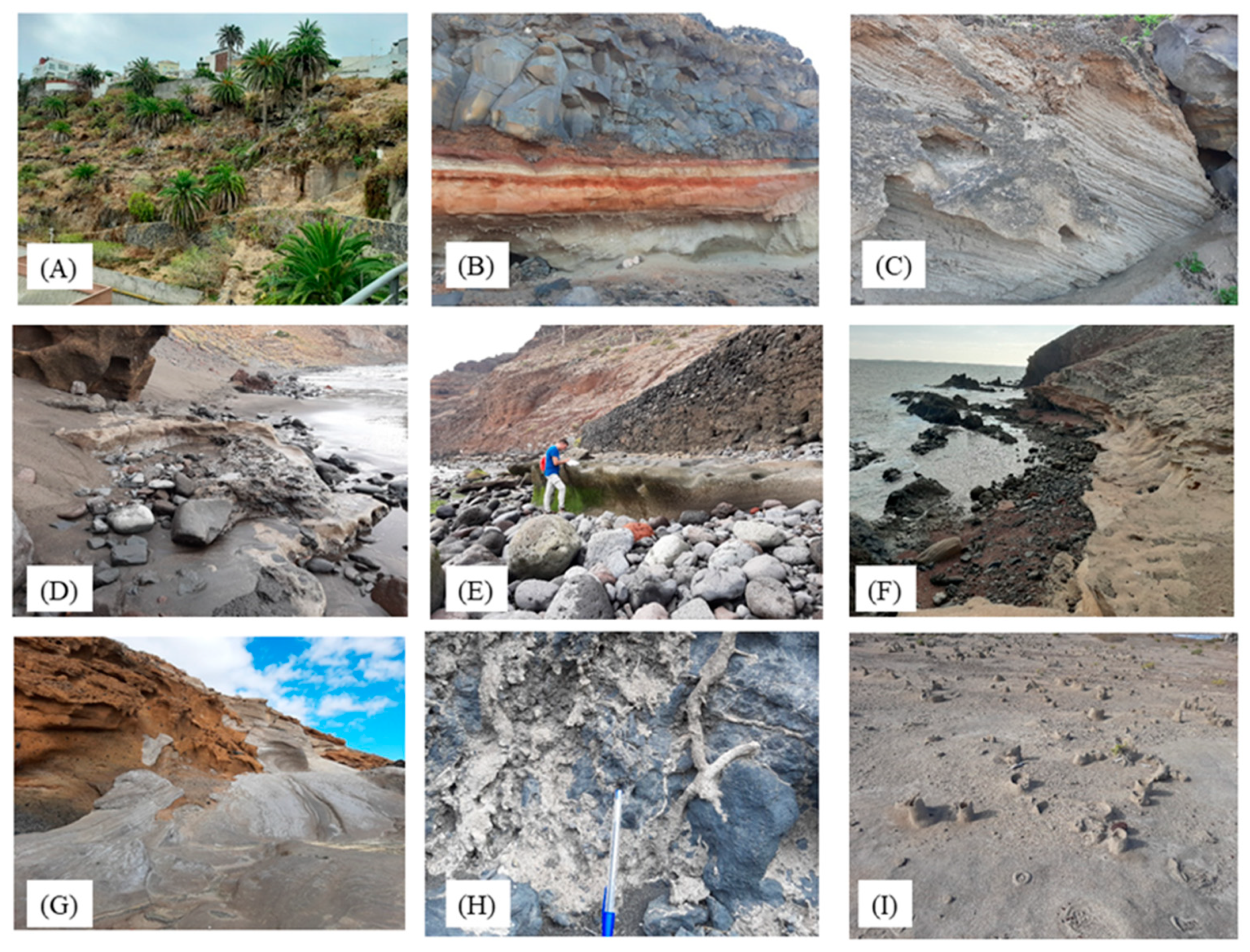 Land 11 00426 g004 Land 11 00426 g004