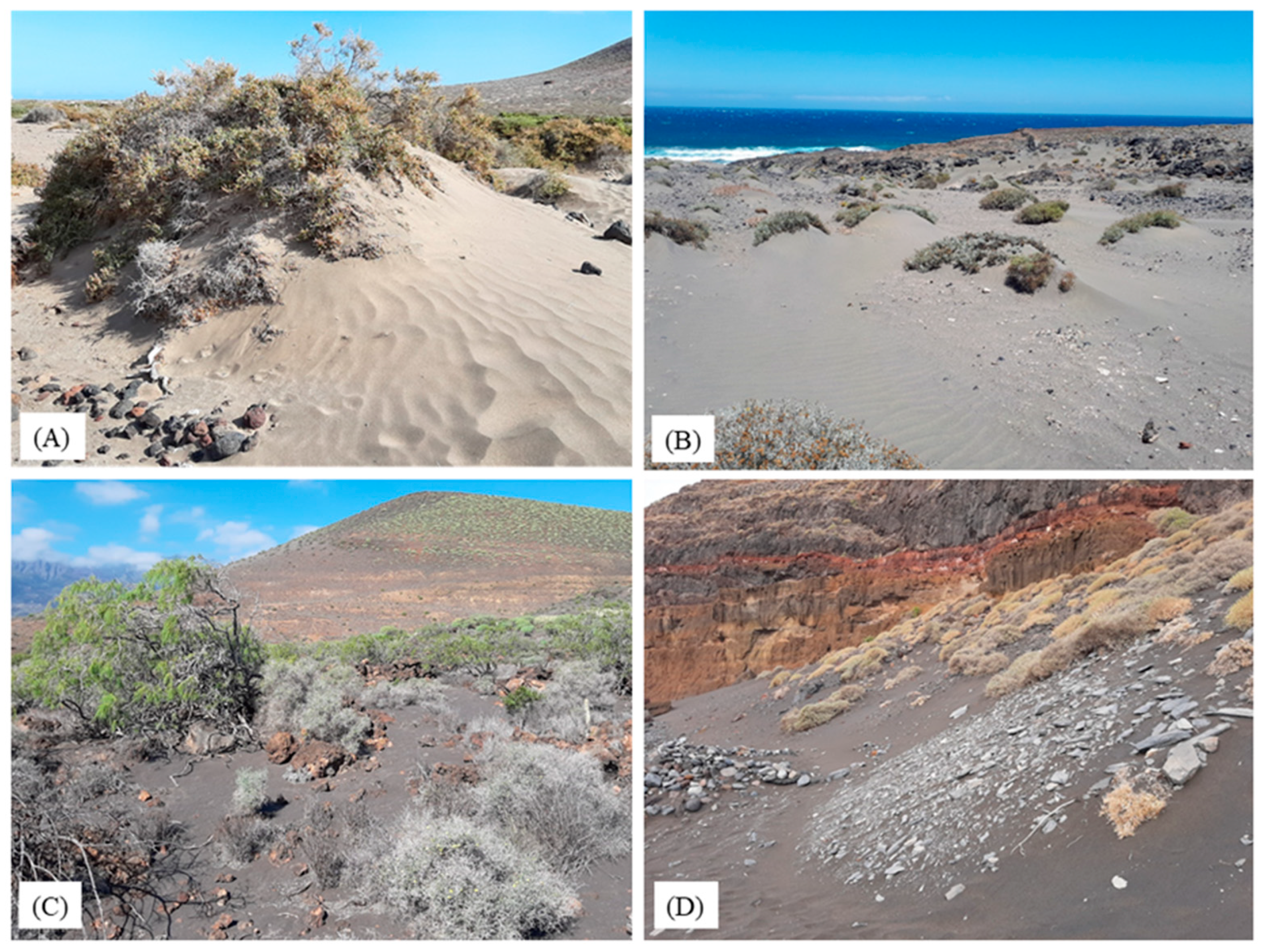 Land 11 00426 g005 Land 11 00426 g005