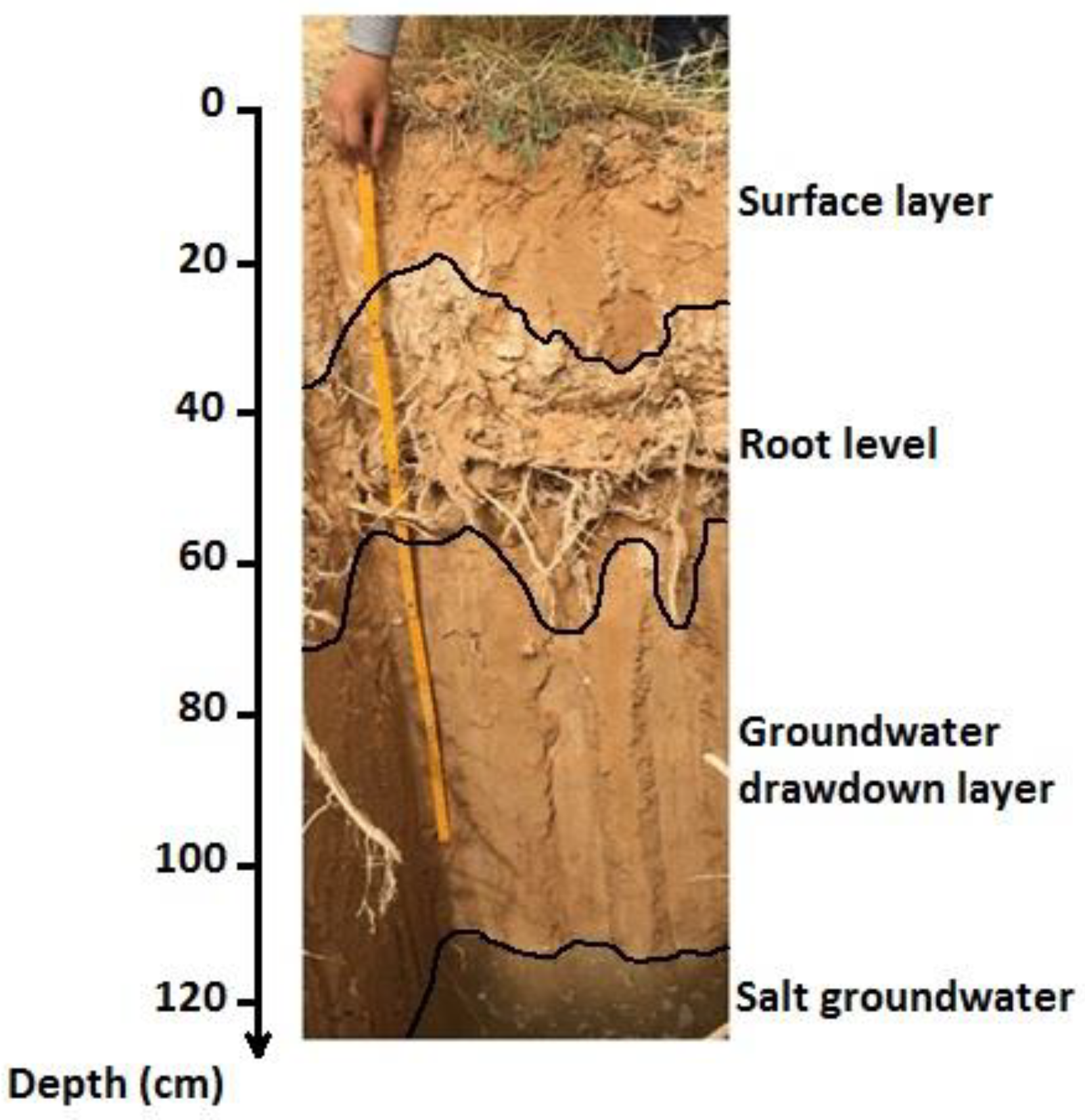 Land 11 00442 sch001 Land 11 00442 sch001