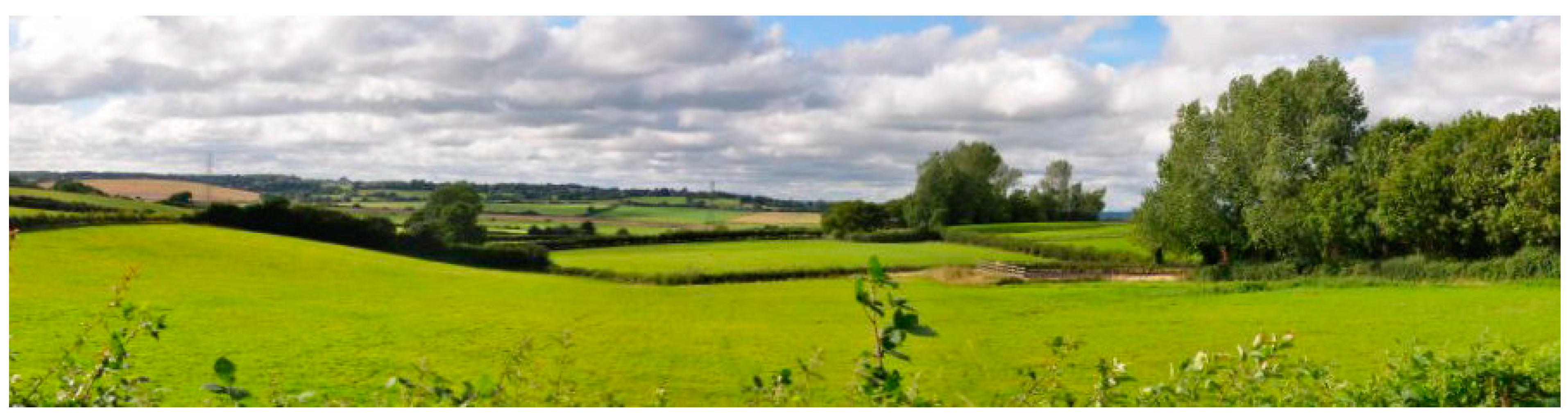 Land 11 00451 g003 550