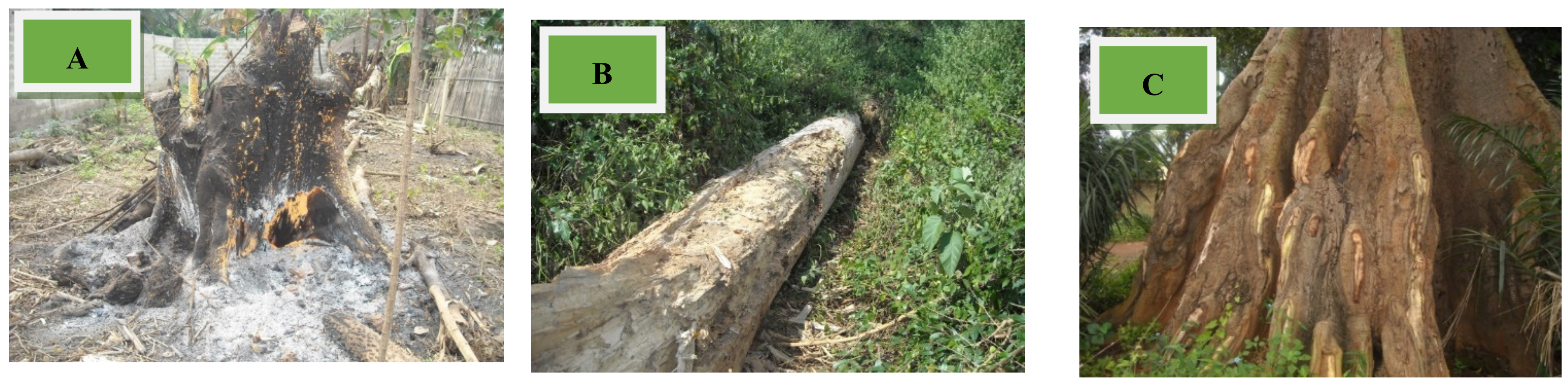 Land 11 00478 g012 Land 11 00478 g012