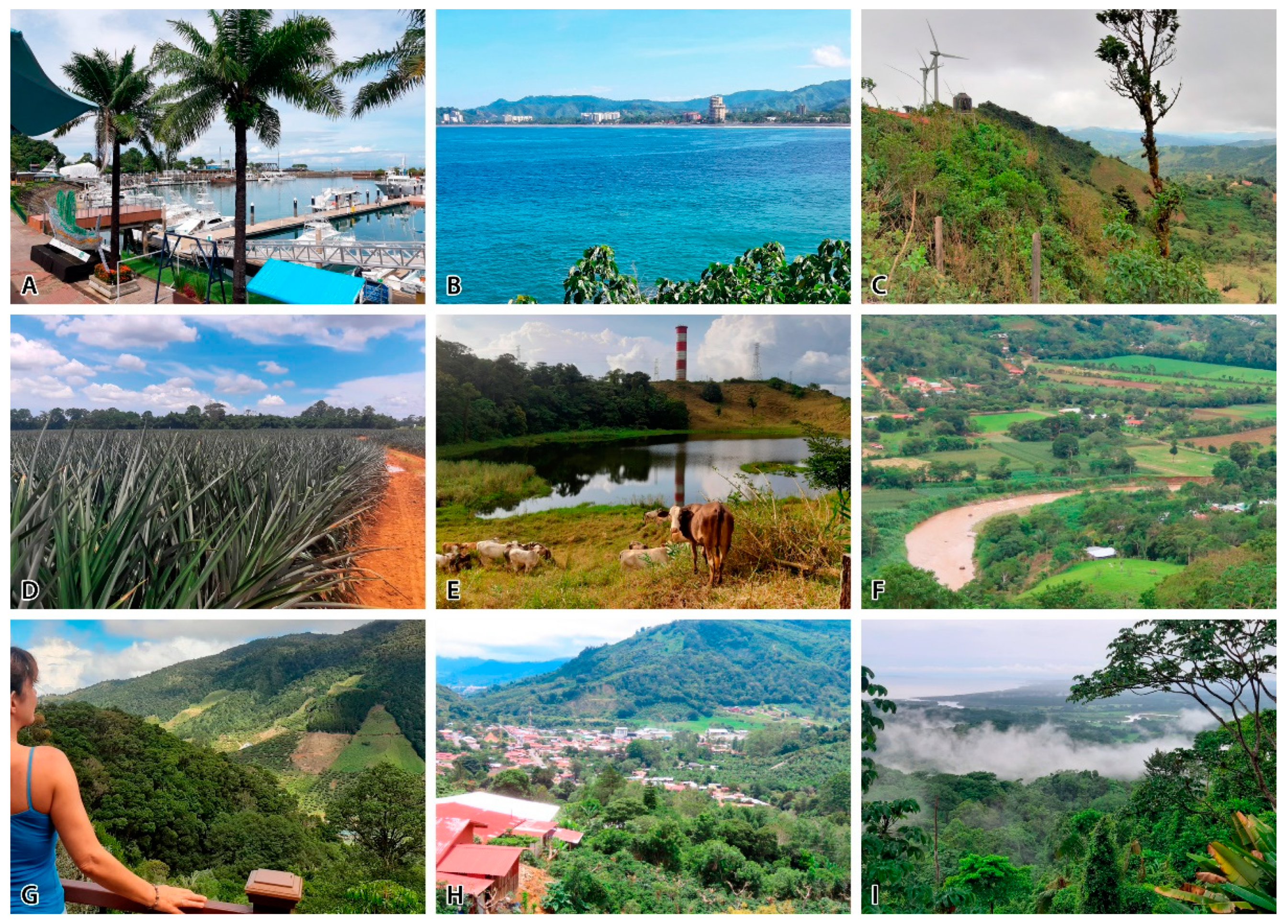 Land 11 00514 g009 550