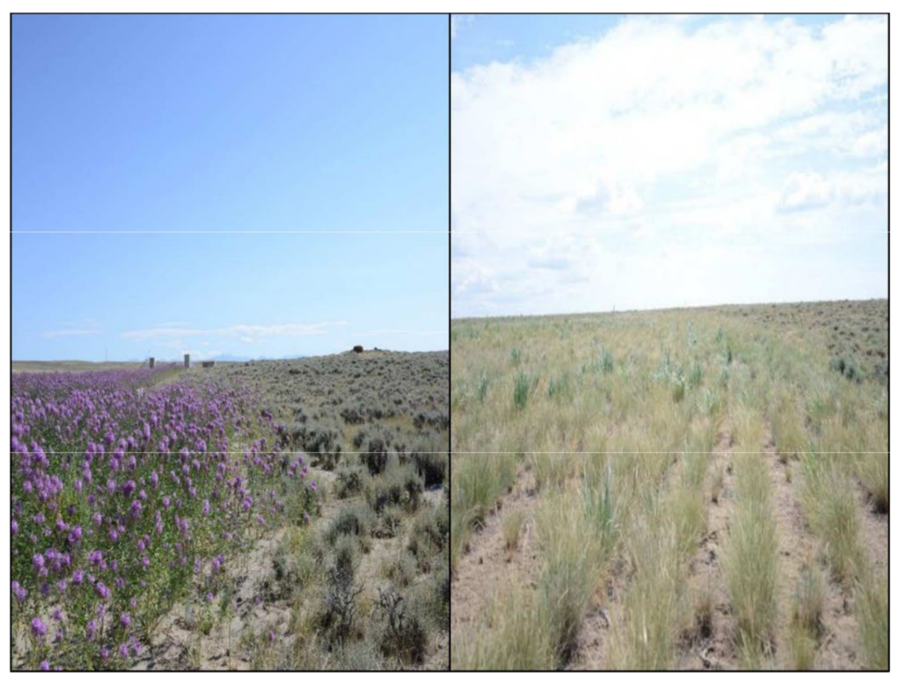 Land 11 00527 g002 Land 11 00527 g002