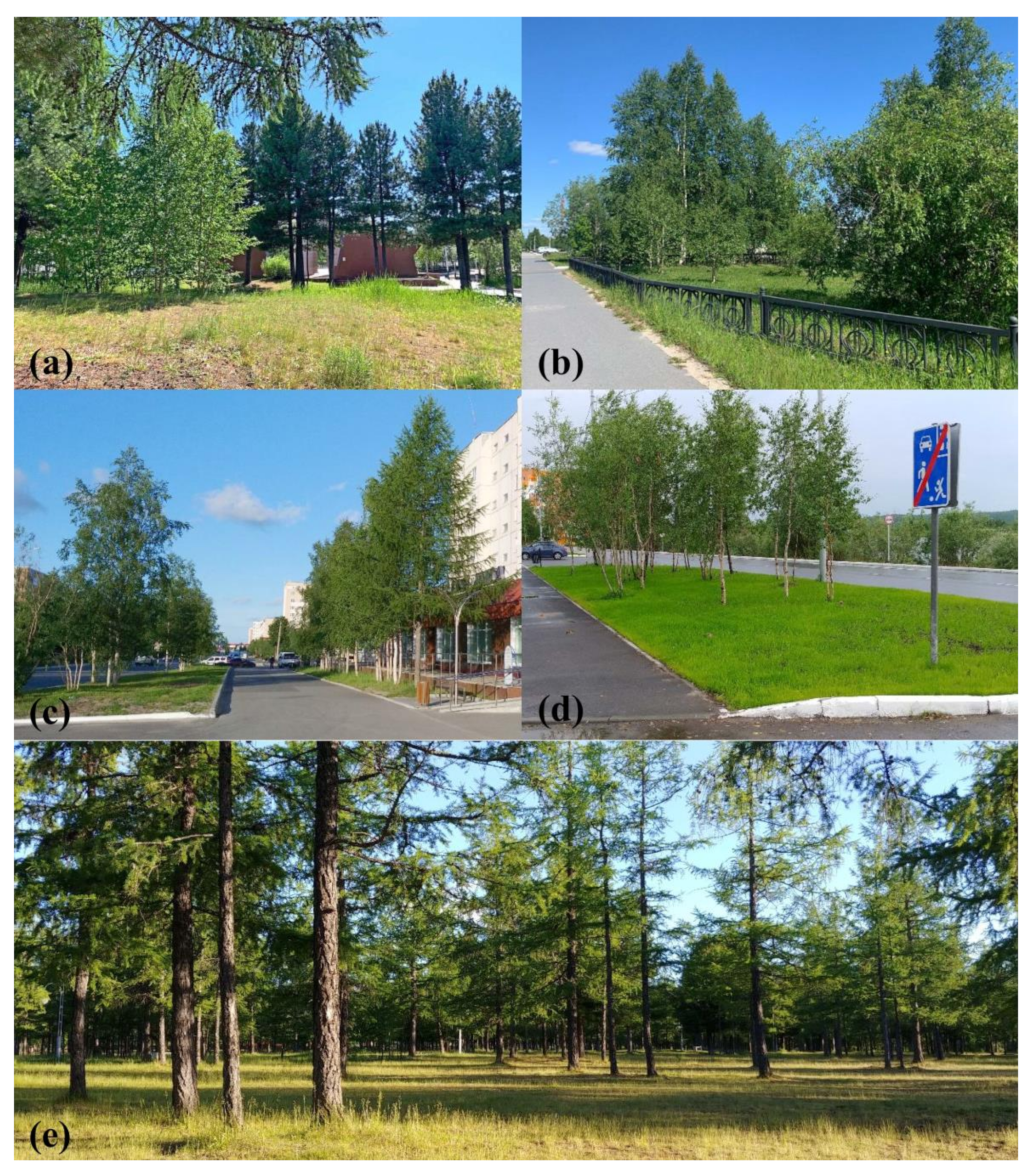 Land 11 00531 g002 Land 11 00531 g002