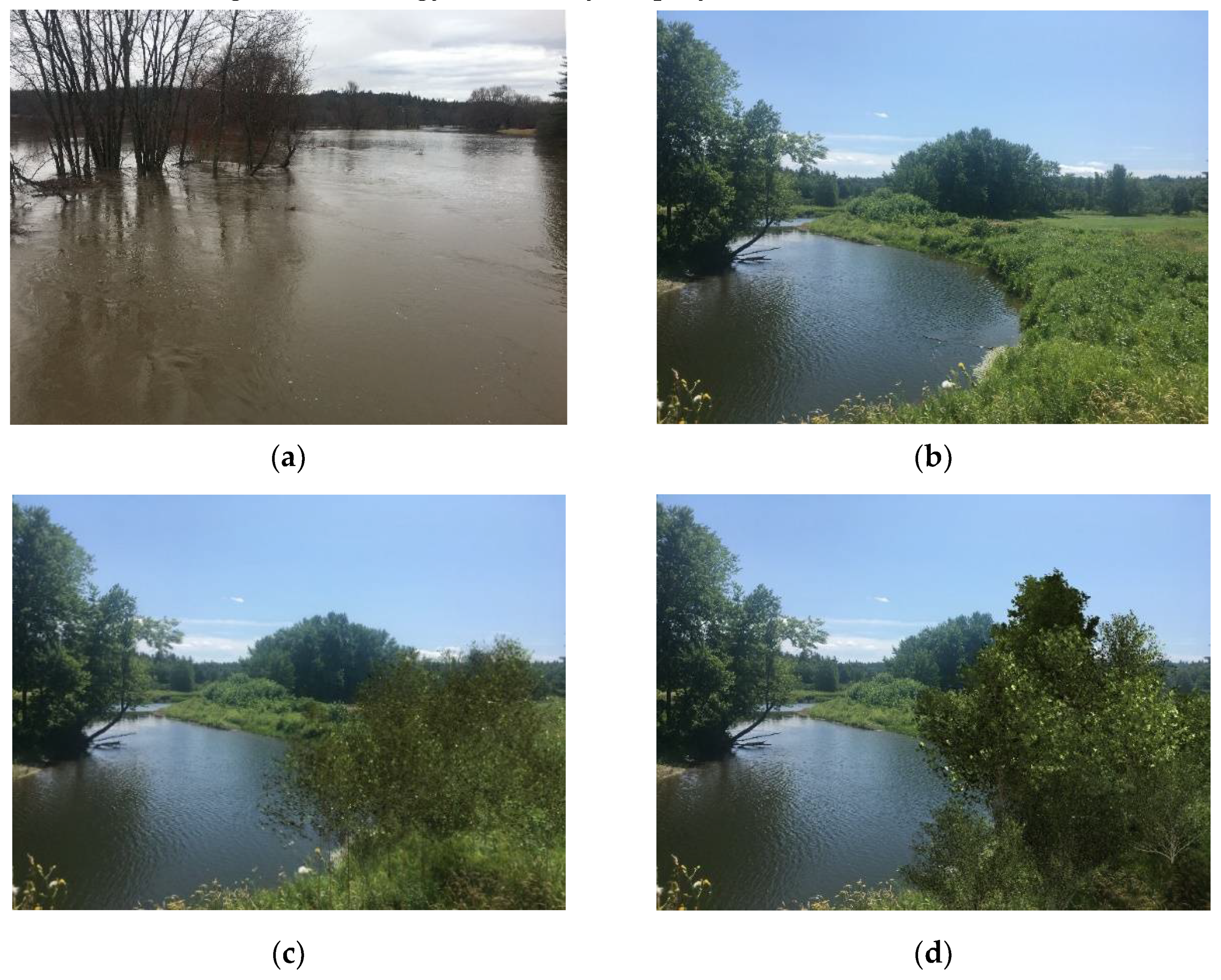 Land 11 00534 g003 550