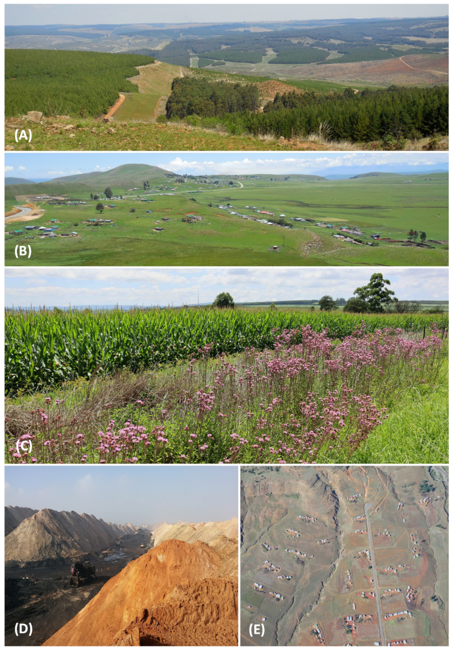 Land 11 00575 g001 Land 11 00575 g001