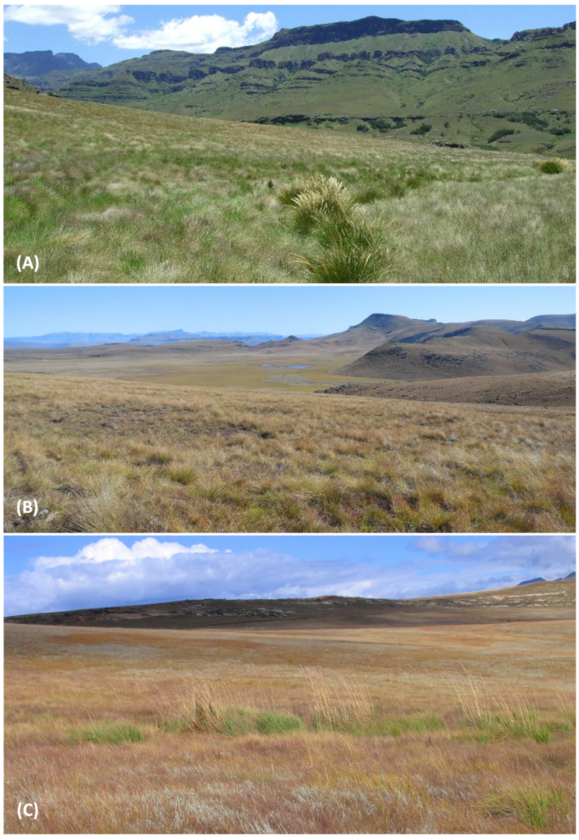 Land 11 00575 g003 Land 11 00575 g003