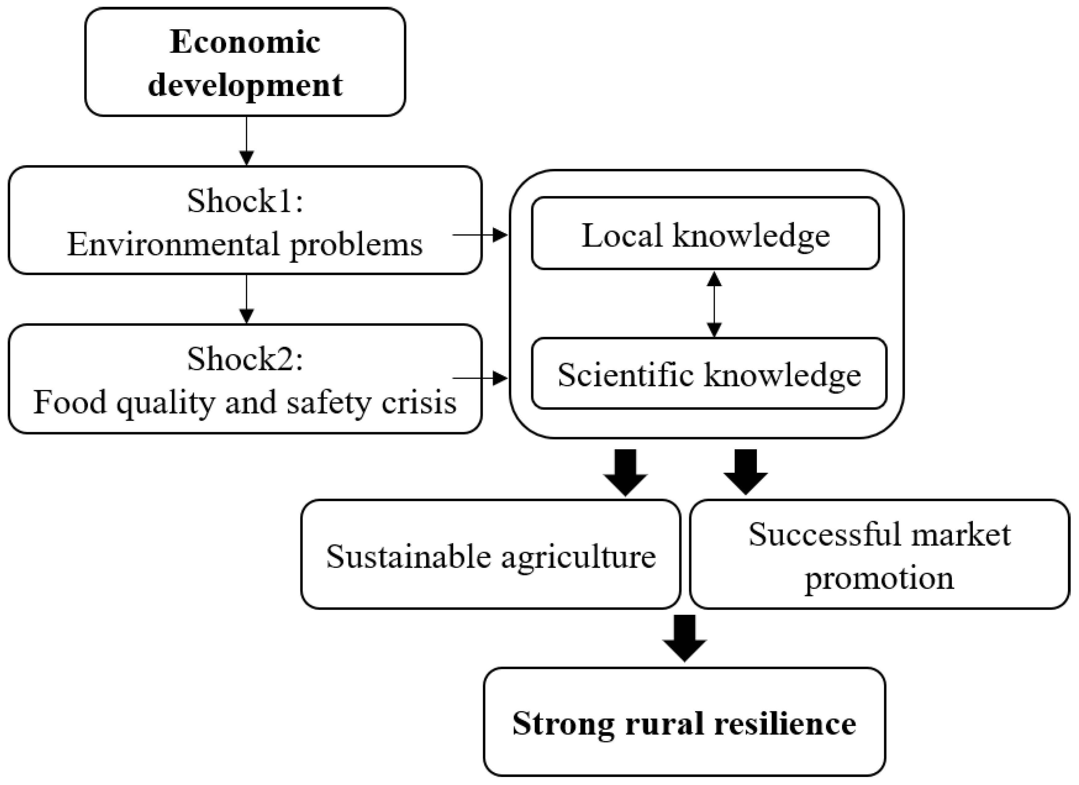 Land Free Full Text Enhancing Rural Resilience In A Tea Town Of China Exploring Tea Farmers Rsquo Knowledge Production For Tea Planting Tea Processing And Tea Tasting Html