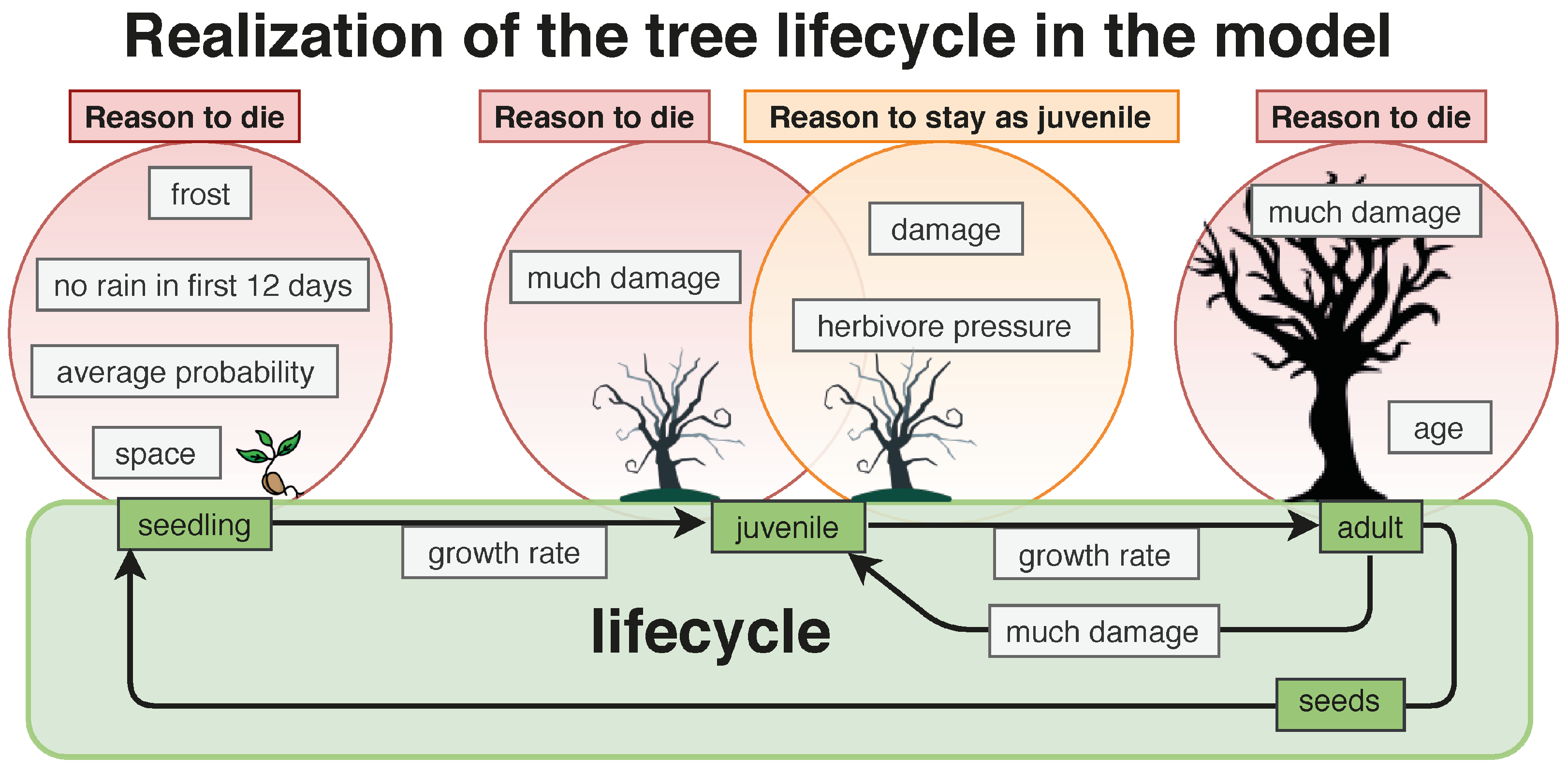 Land 11 00619 g004 Land 11 00619 g004