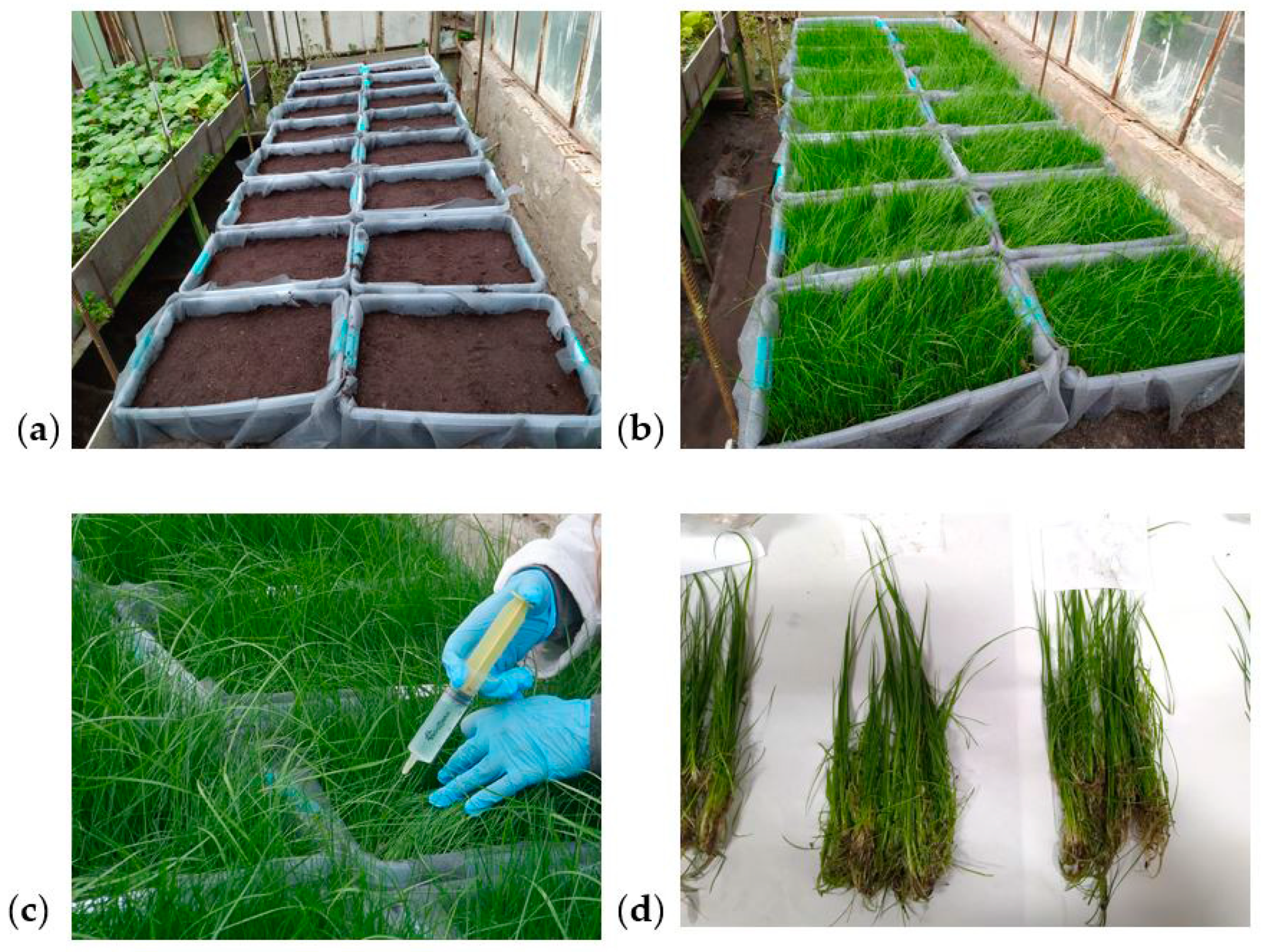 Land 11 00623 g001 550