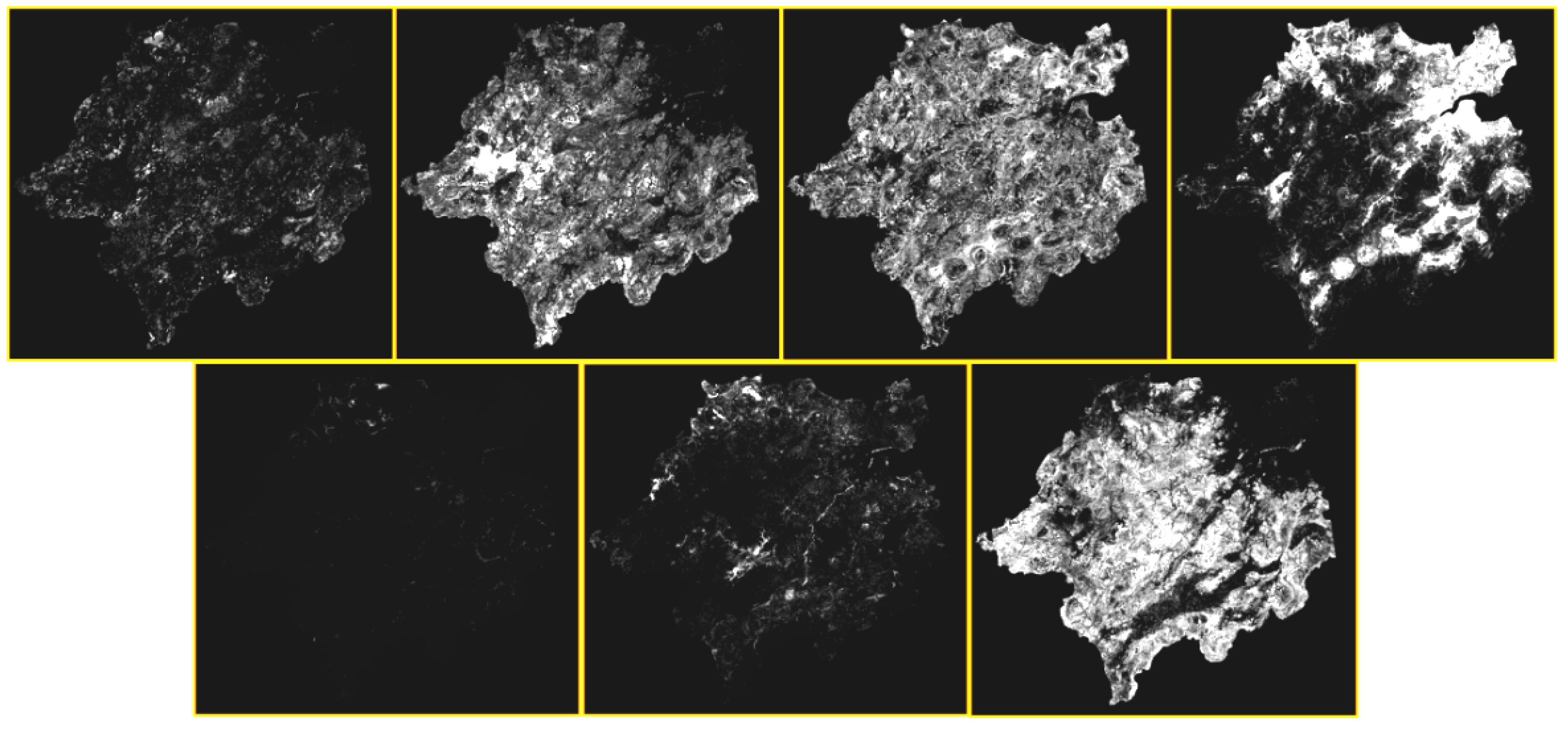 Land 11 00652 g008 550