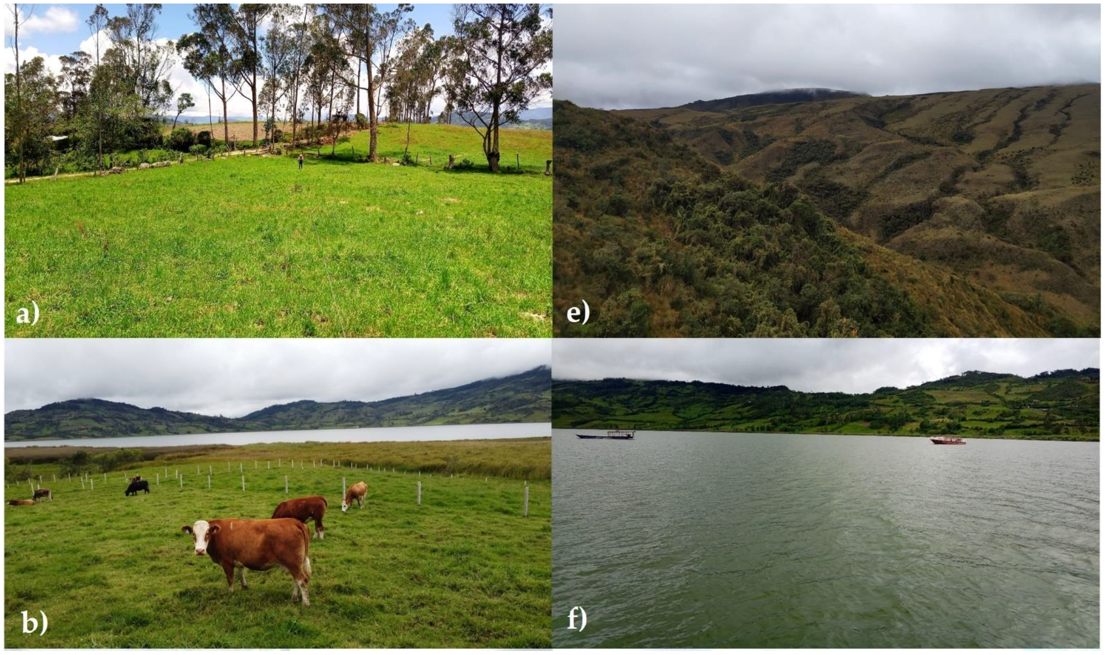 Land 11 00674 g003a Land 11 00674 g003a