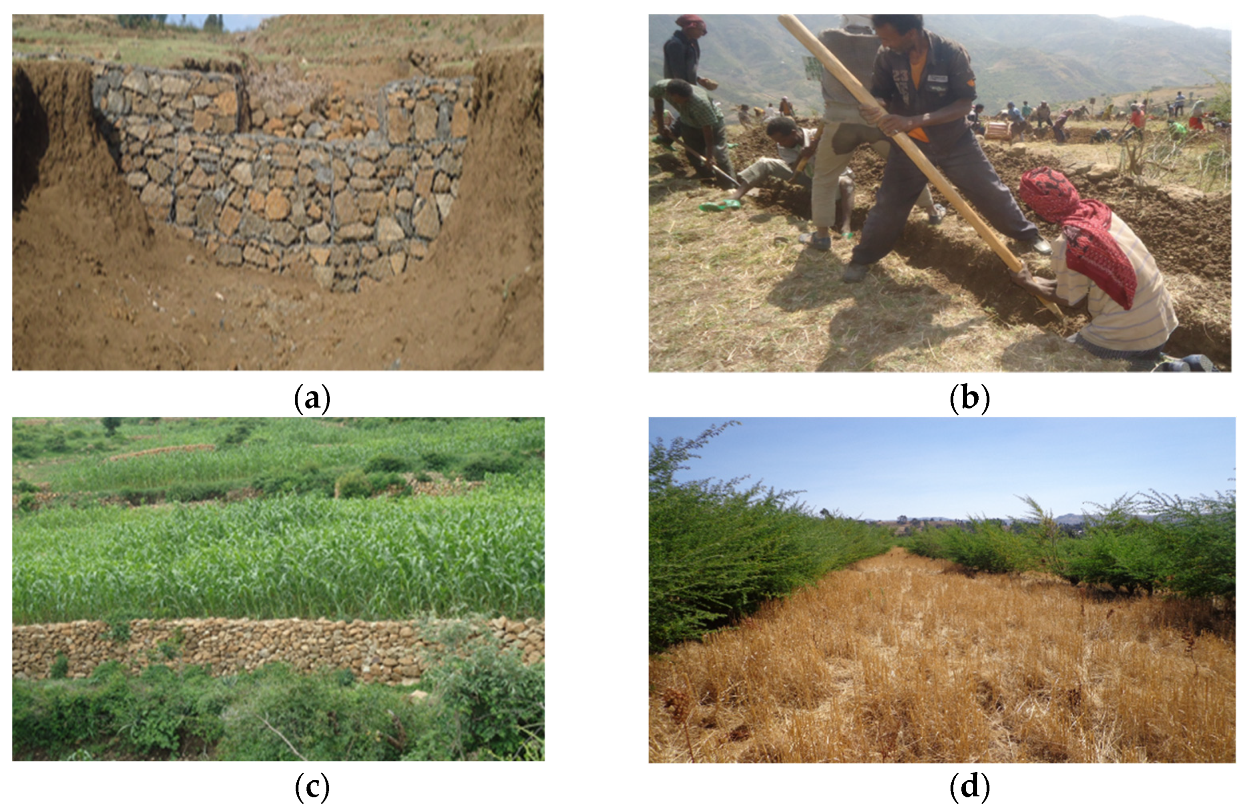 Land 11 00676 g009 550