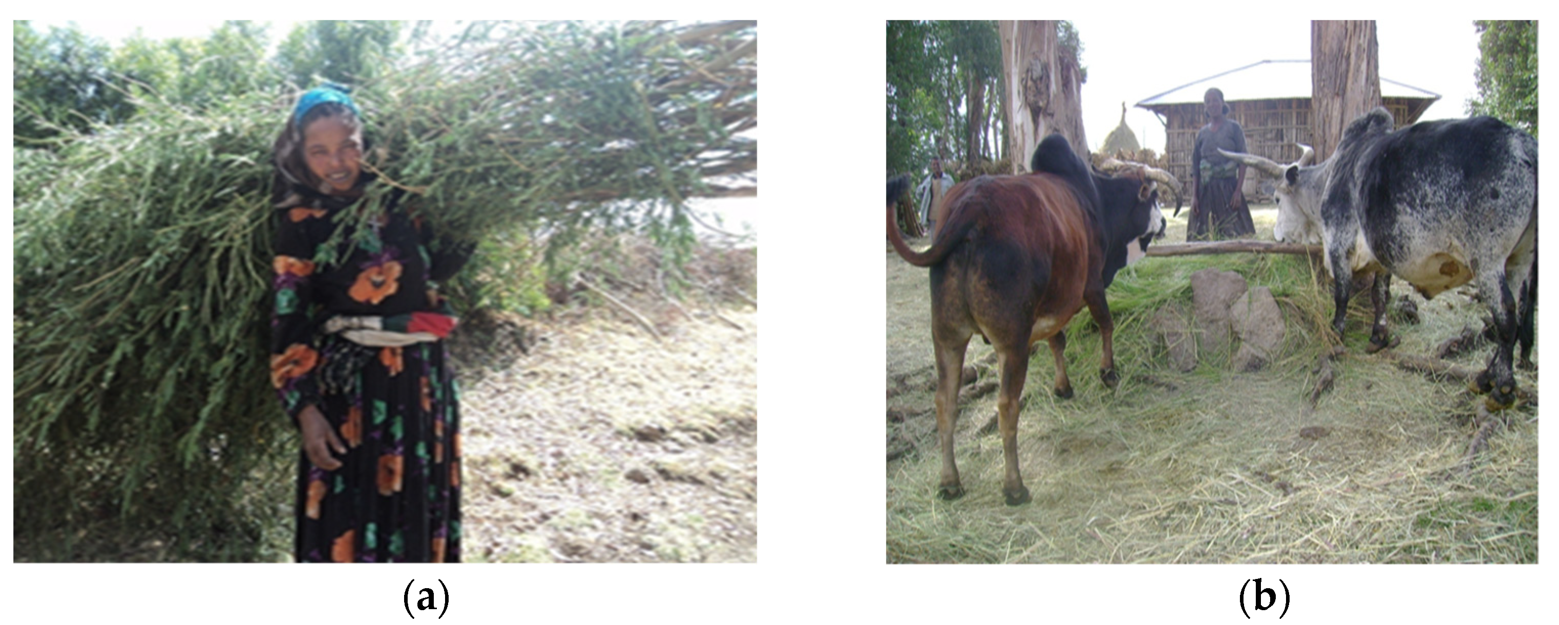 Land 11 00676 g010 550