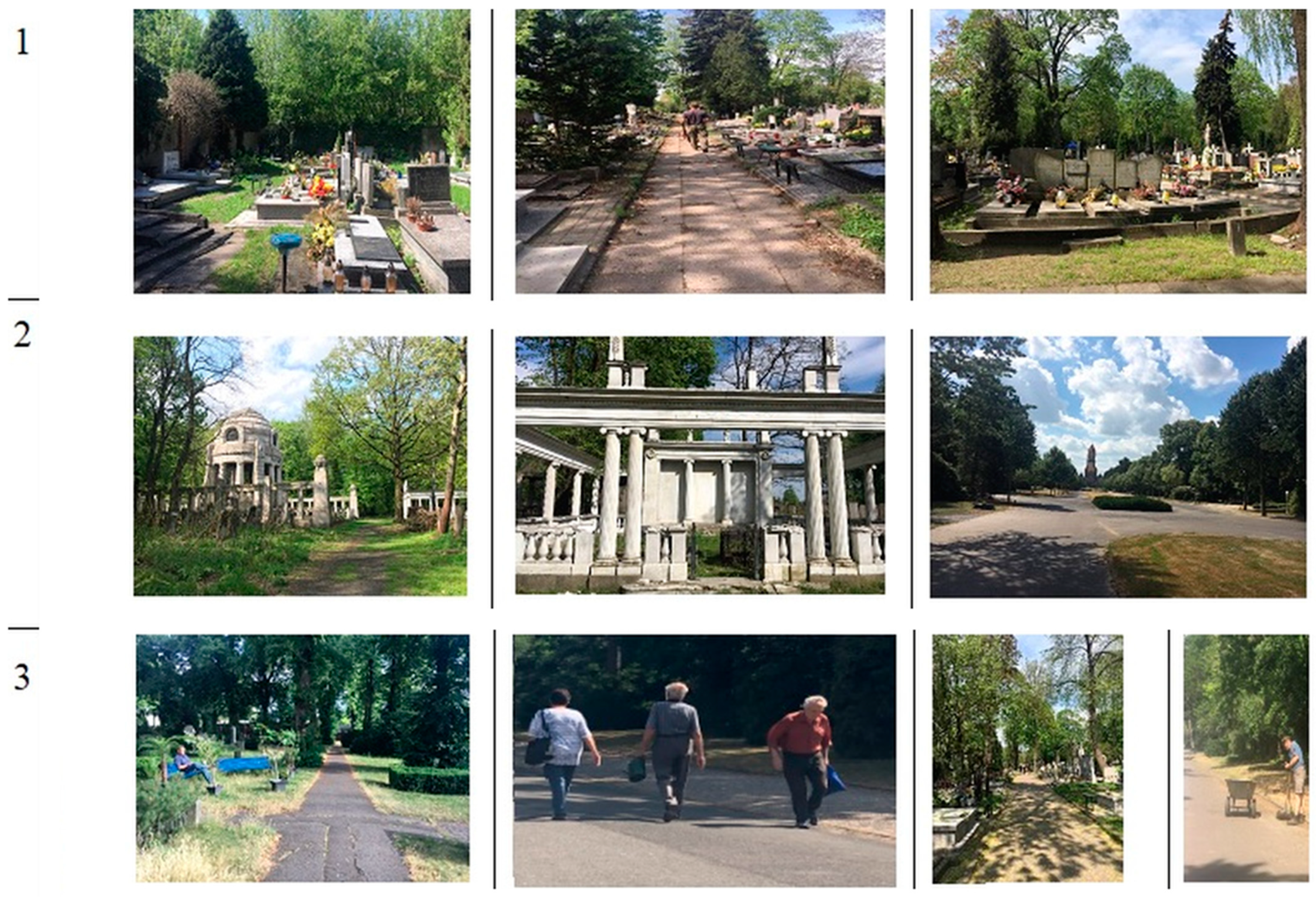 Land 11 00677 g007 Land 11 00677 g007