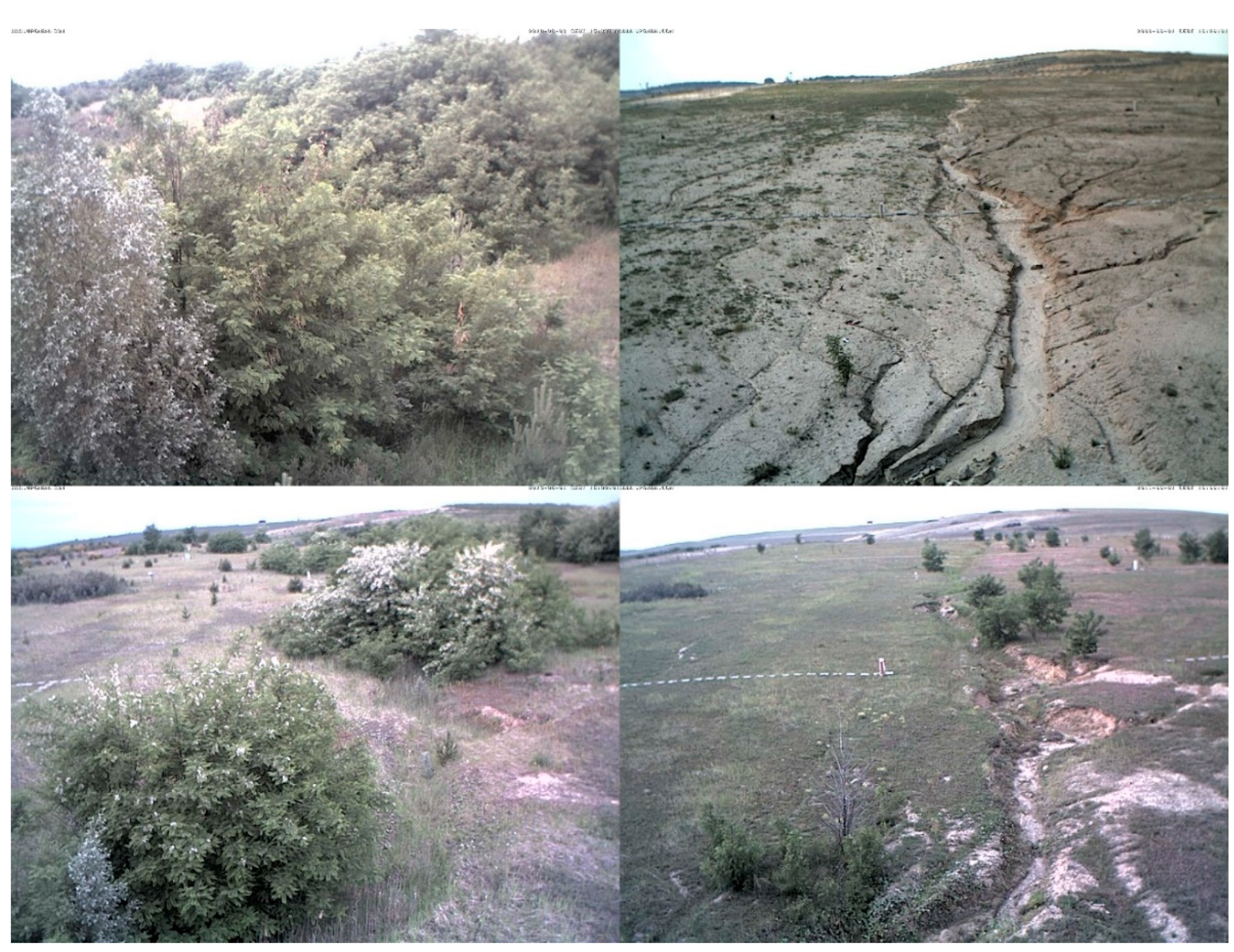 Land 11 00718 g002 Land 11 00718 g002