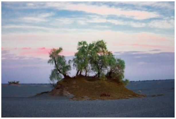 Land 11 00736 i002 Land 11 00736 i002