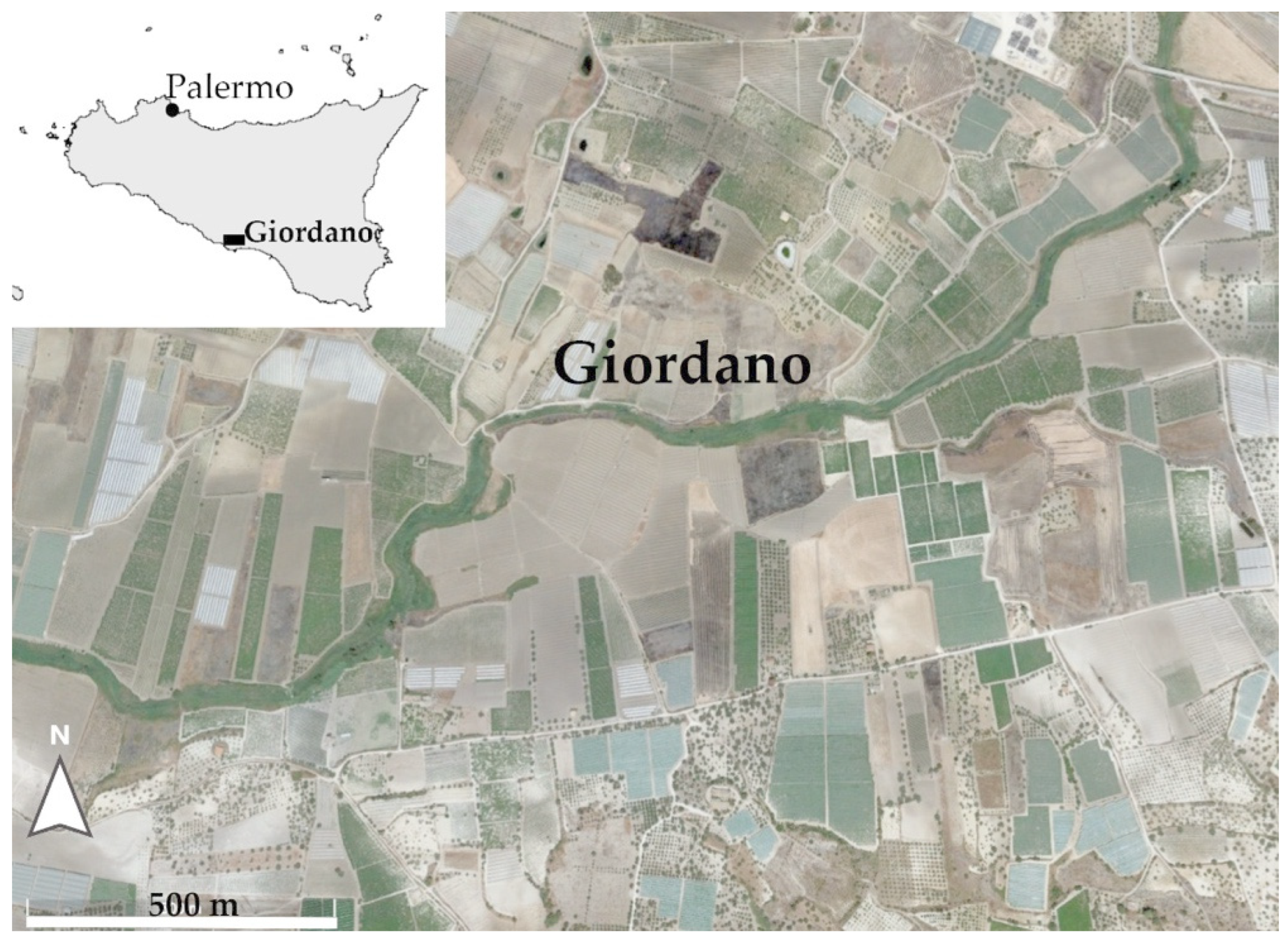 Land 11 00748 g001 Land 11 00748 g001