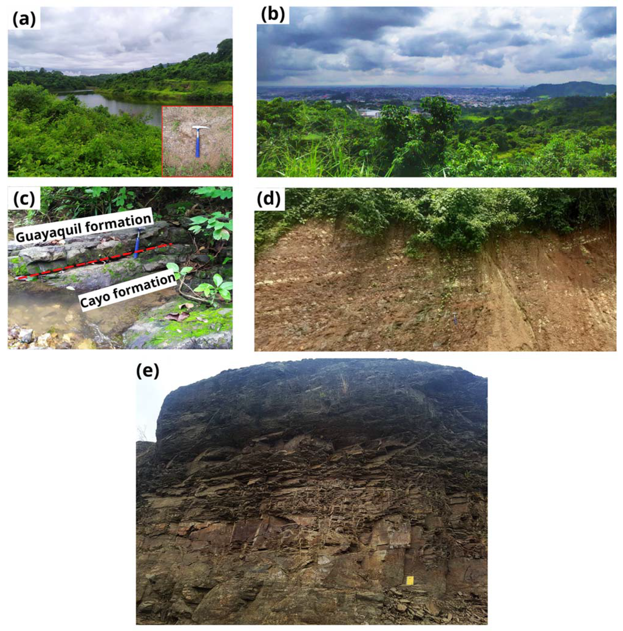 Land 11 00771 g004 550