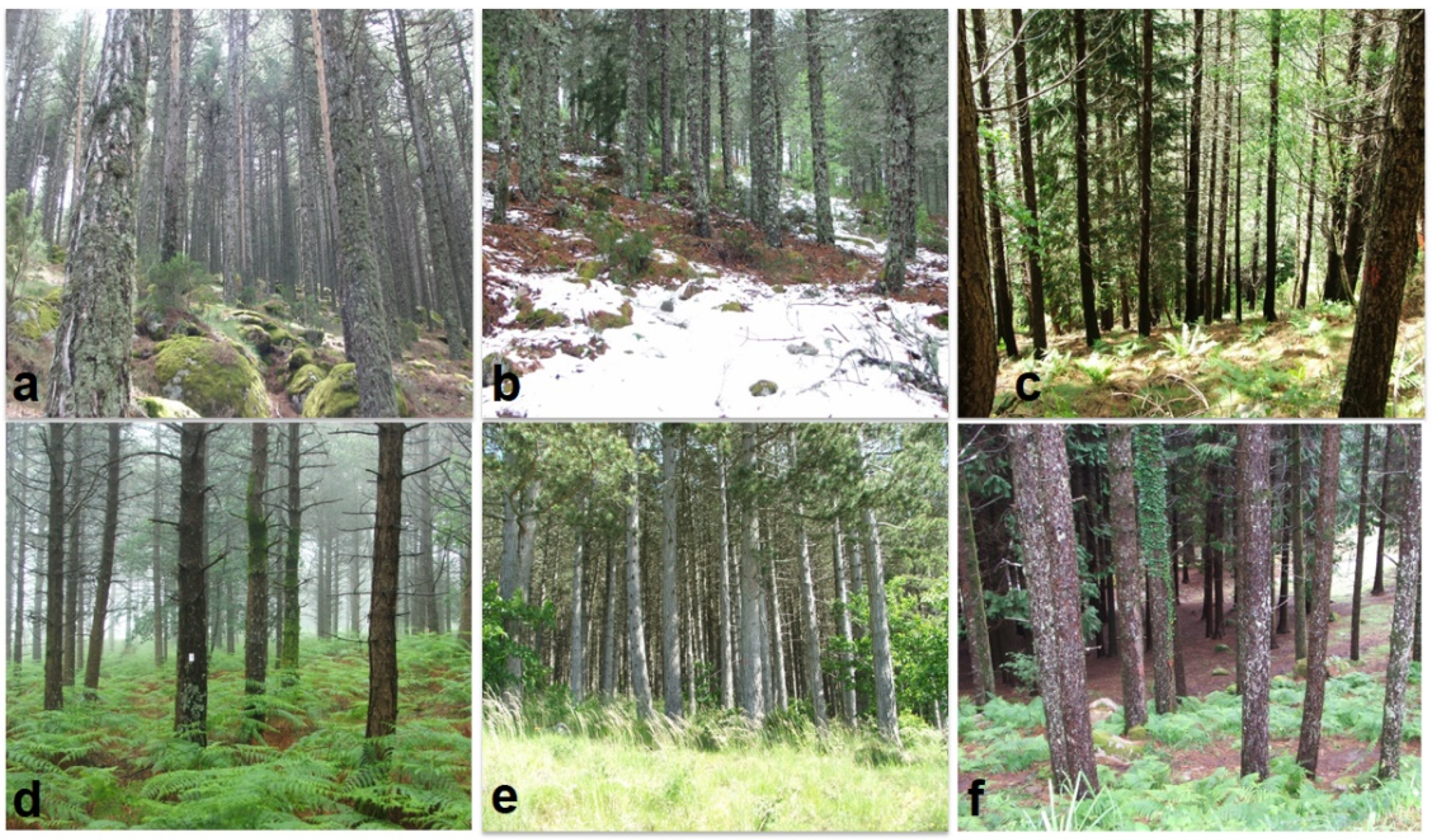 Land 11 00794 g003 550