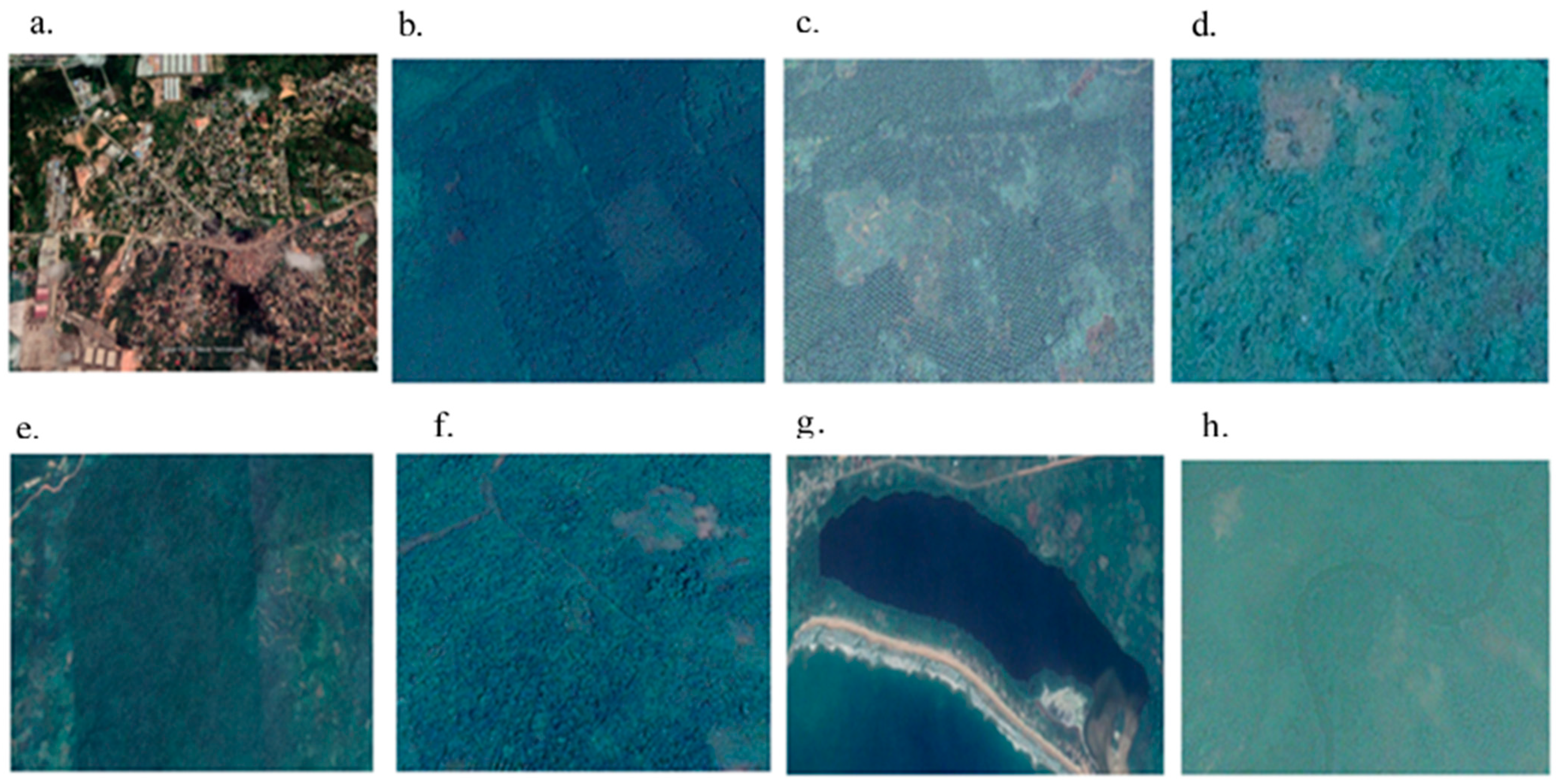 Land 11 00815 g003 550