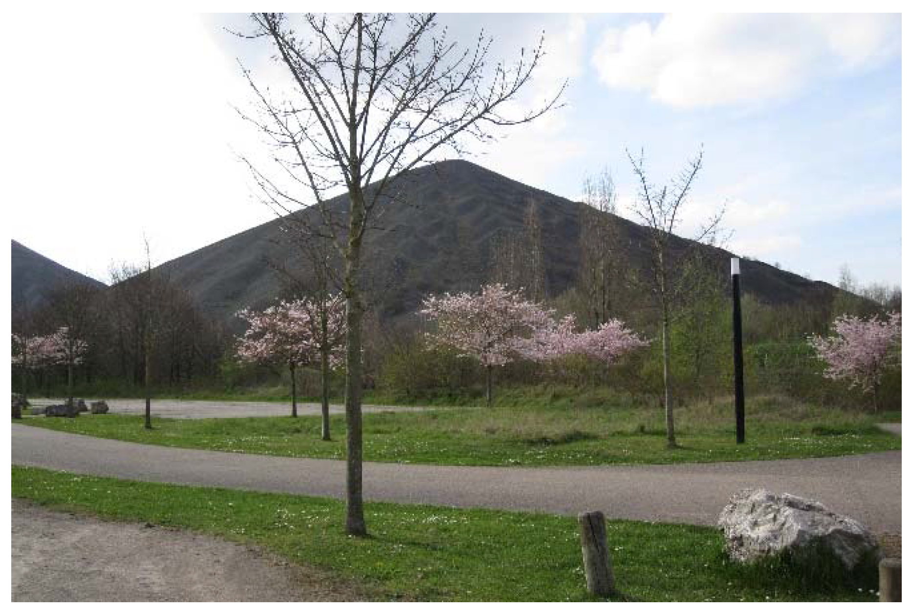 Land 11 00936 g001 550