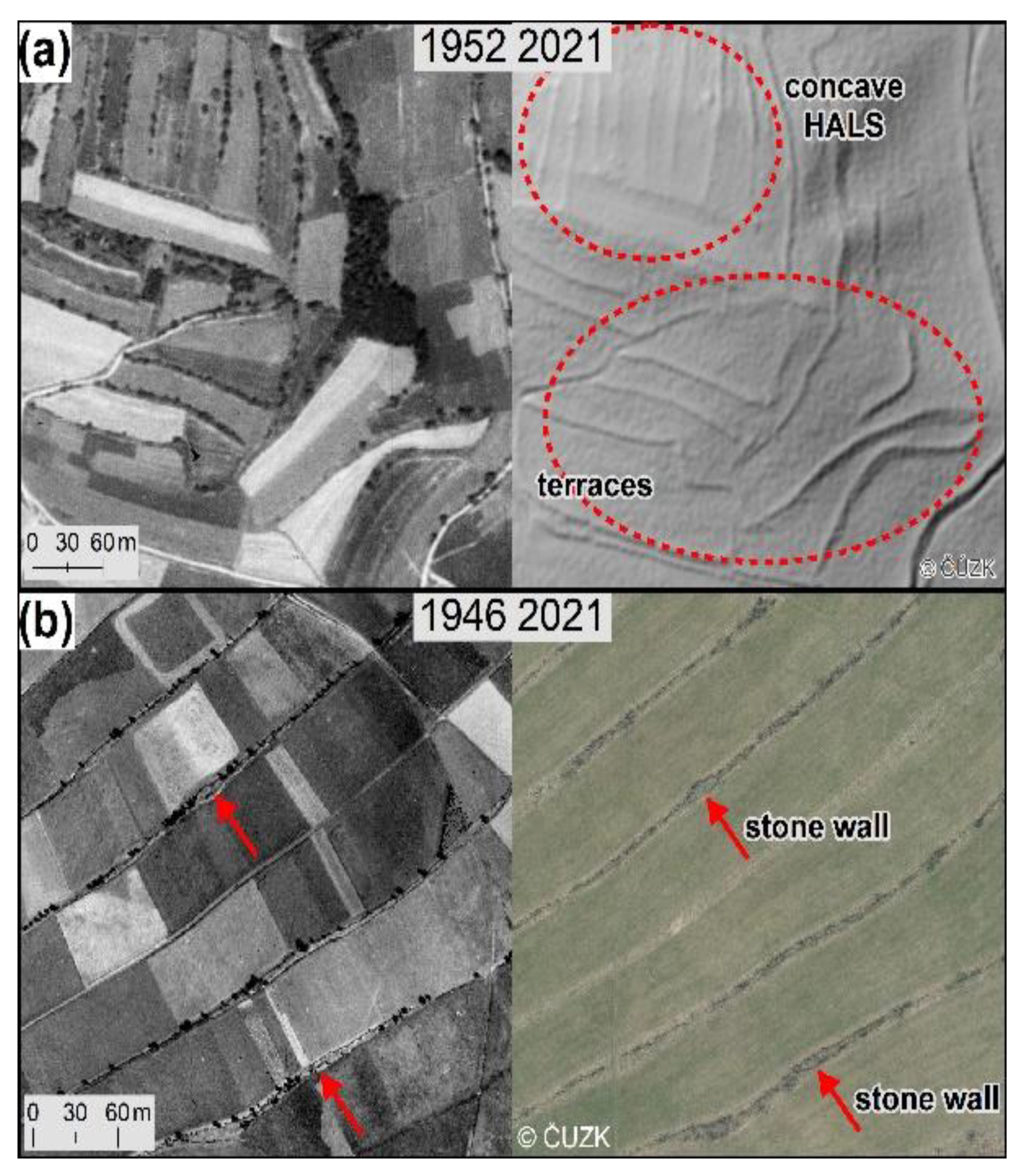 Land 11 00963 g005