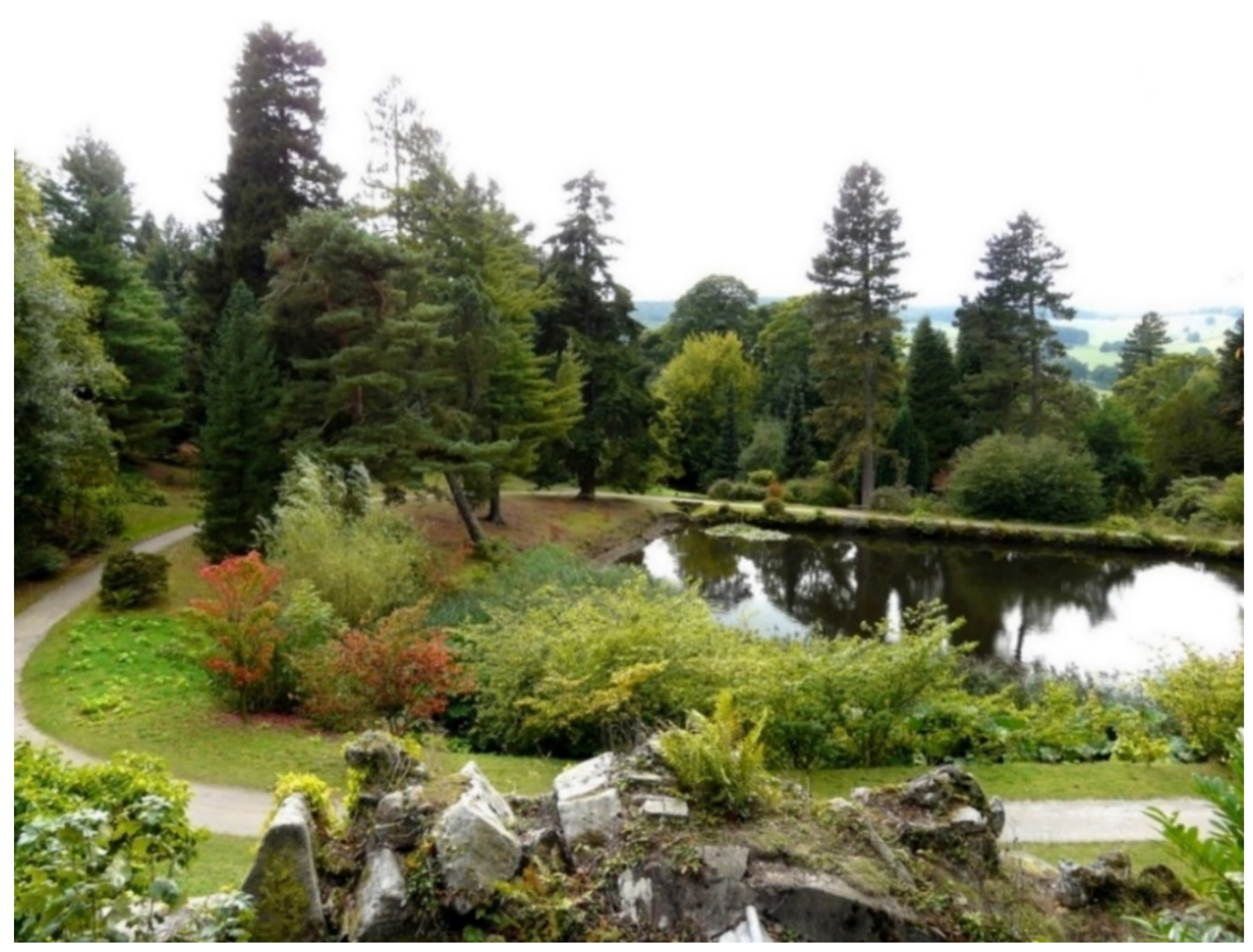 Land 11 00984 g003 550