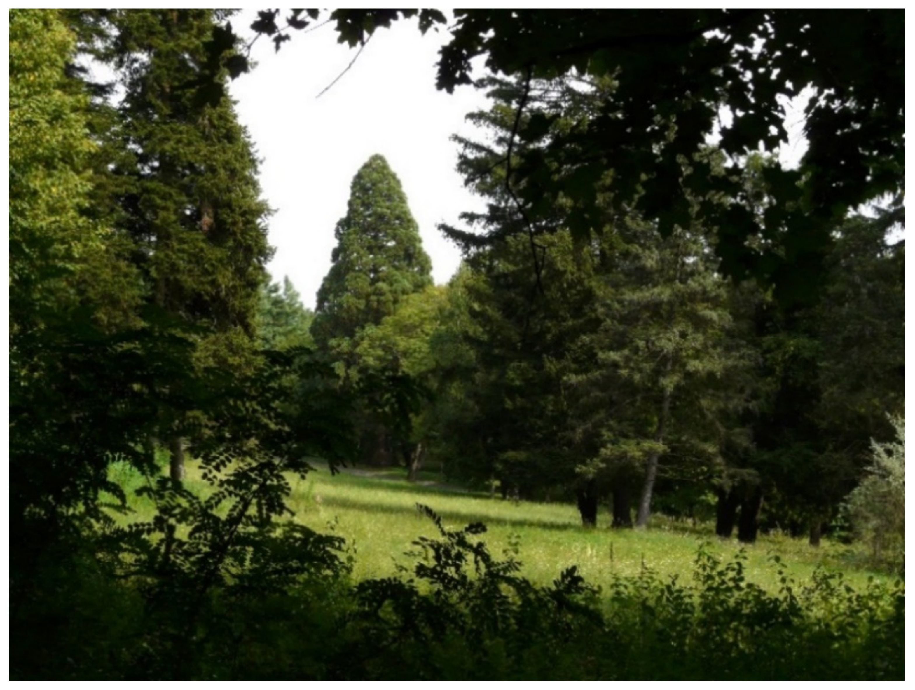 Land 11 00984 g008 550