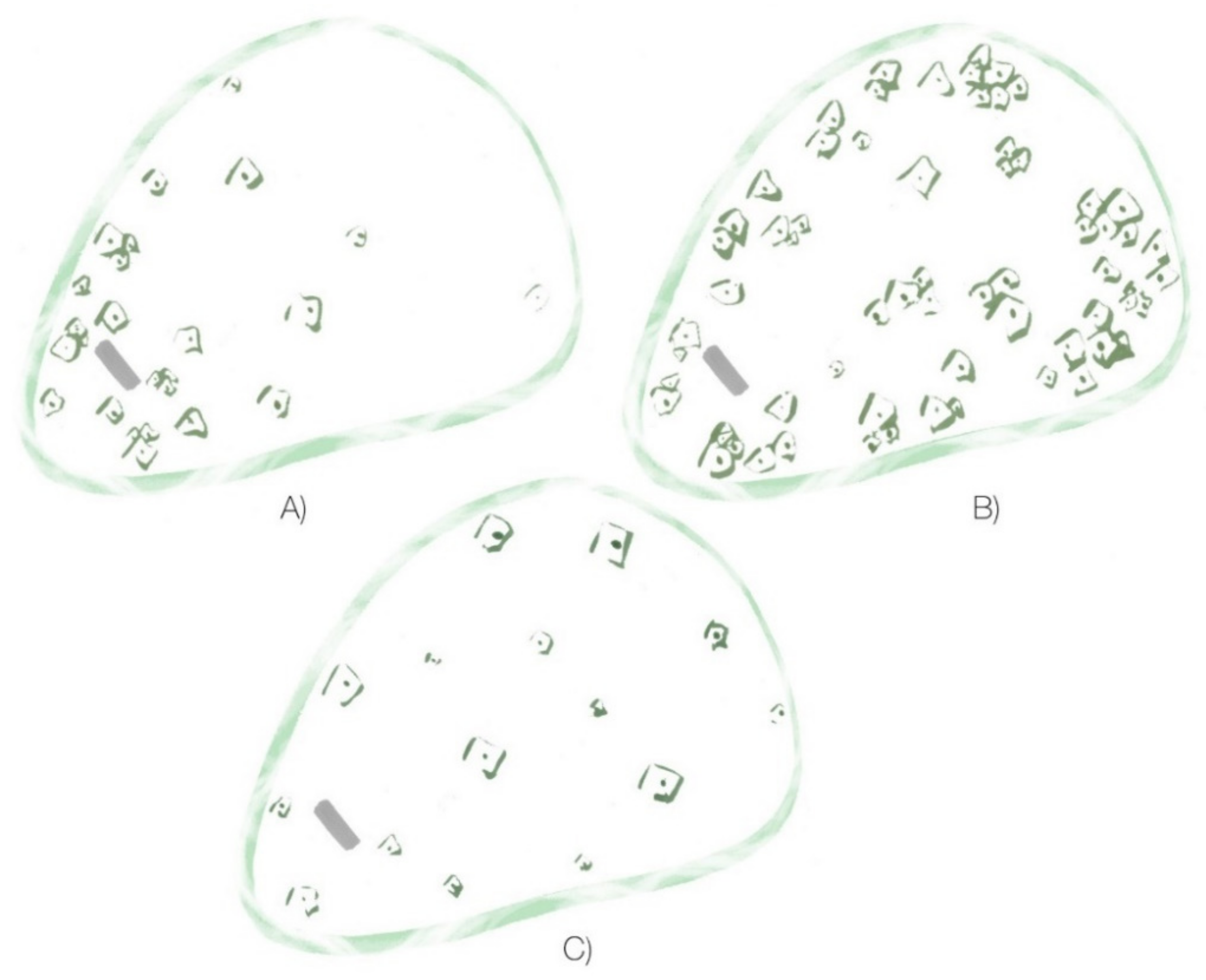 Land 11 00984 g010 550