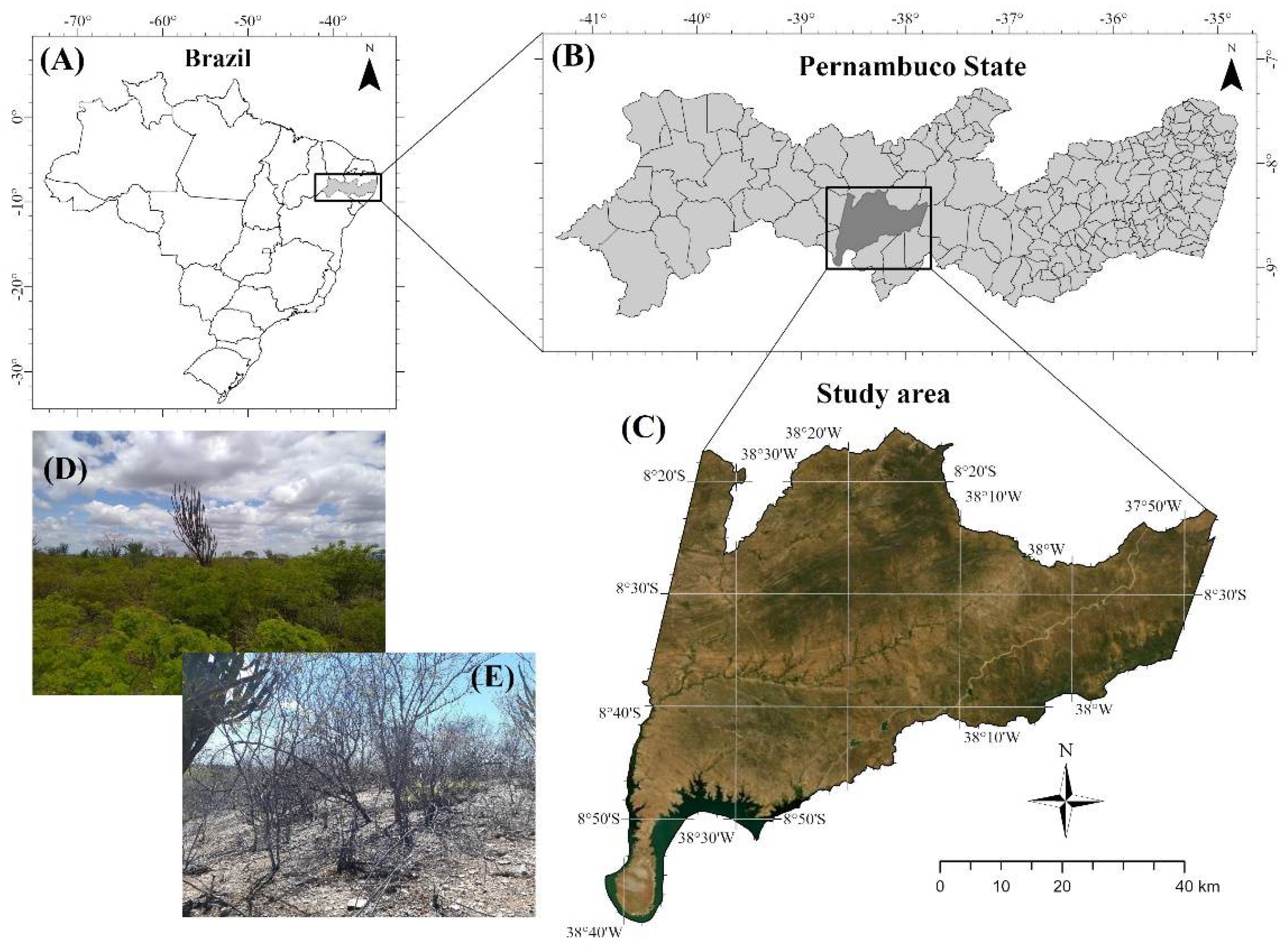 Land 11 00998 g001 Land 11 00998 g001