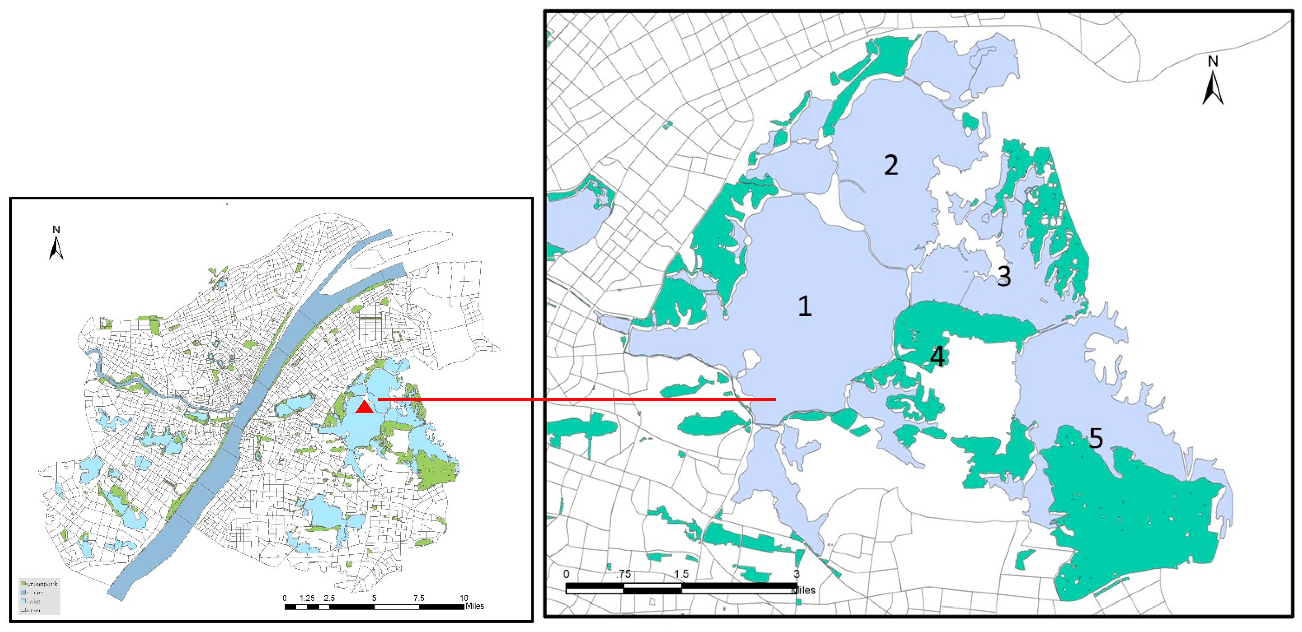 Land 11 01051 g001 550