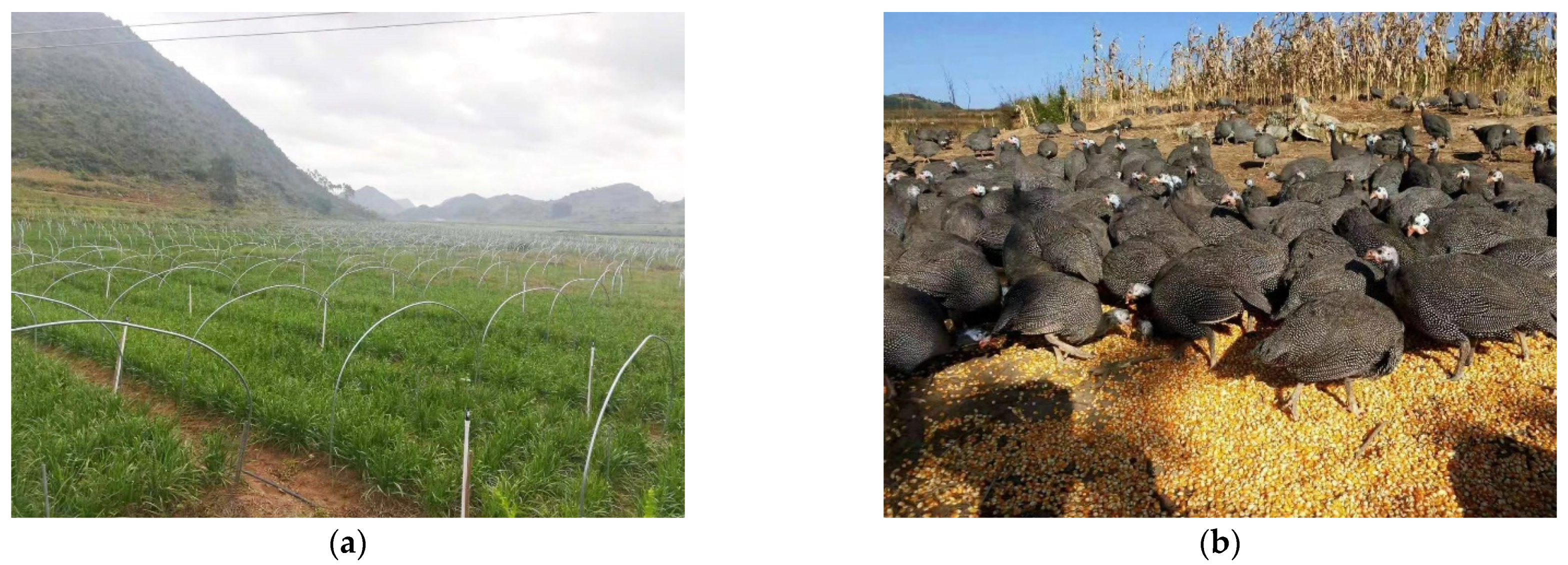 Land 11 01075 g005 550