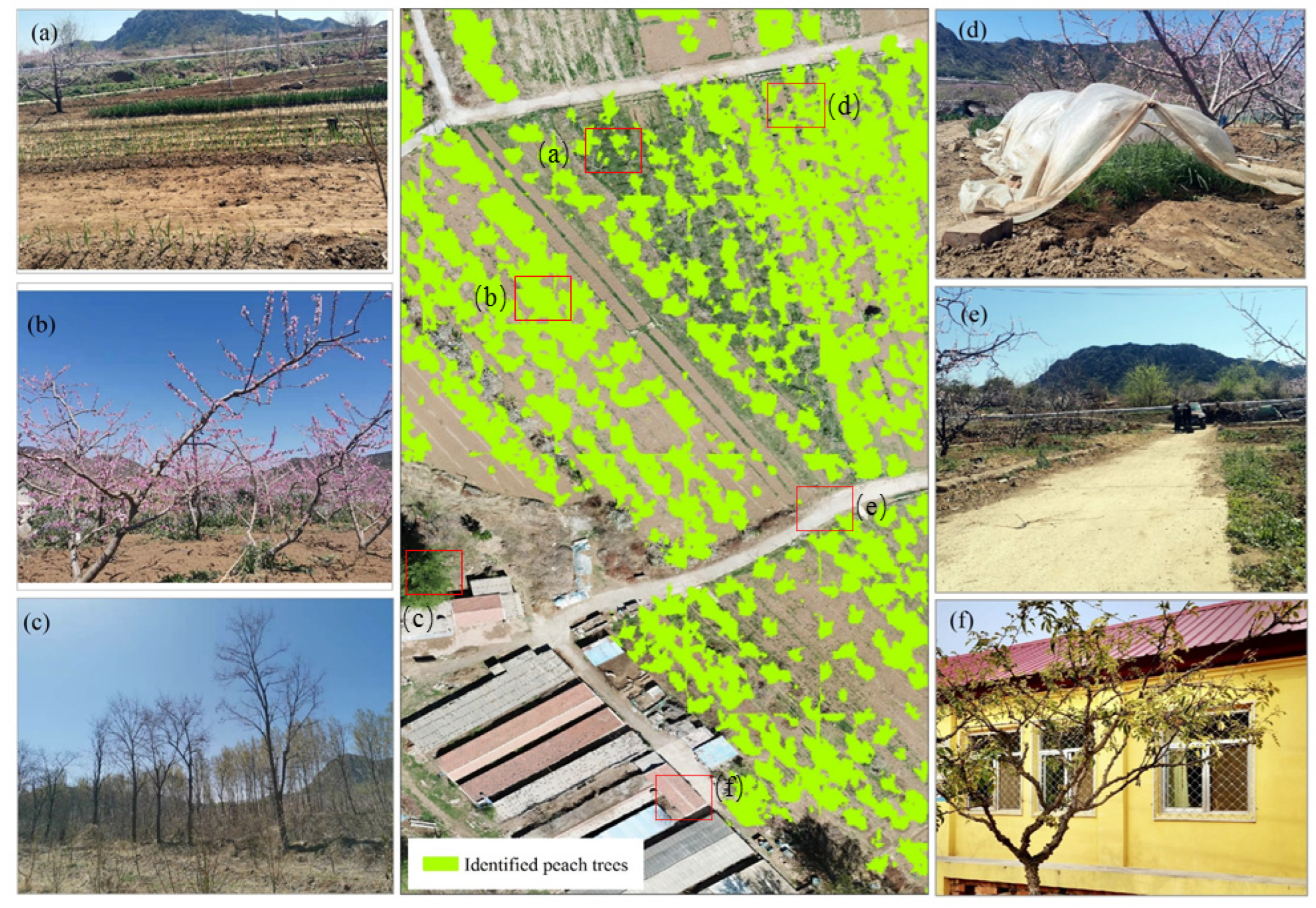 Land 11 01078 g006 550