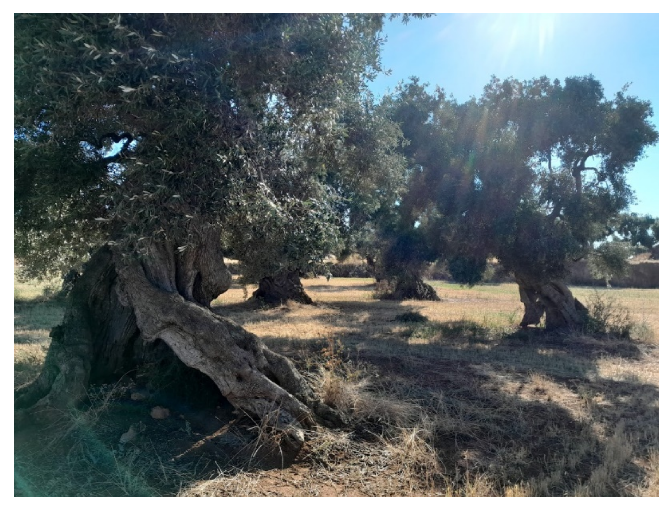 Land 11 01105 sch001