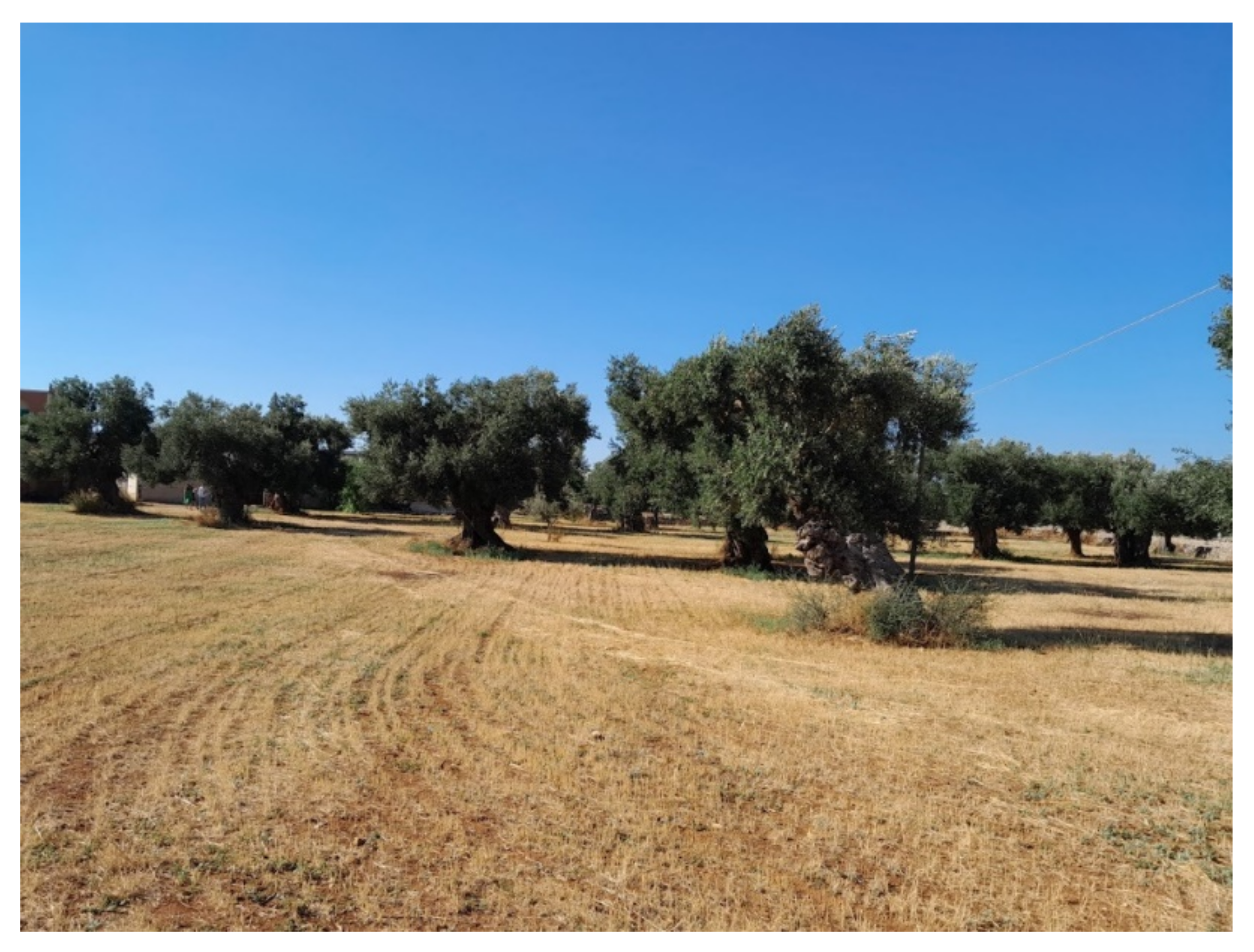 Land 11 01105 sch002