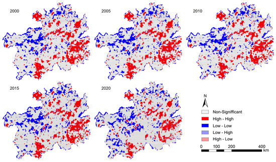 The Evolution and Determinants of Ecosystem Services in