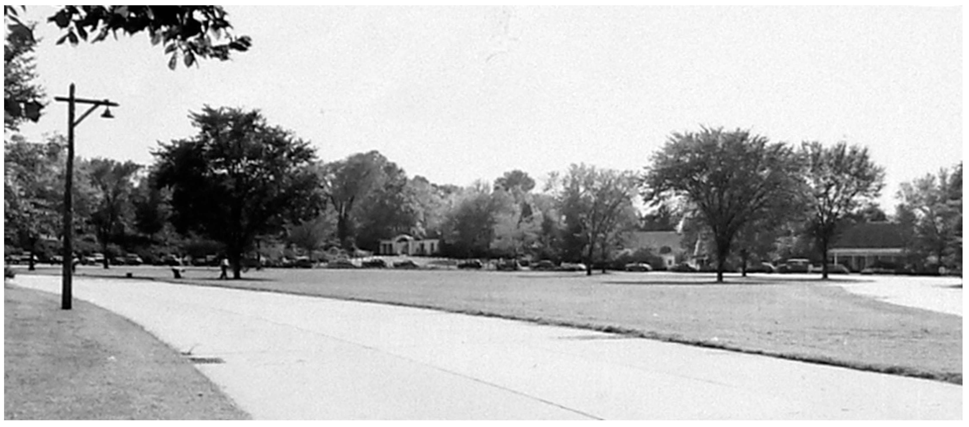 Land 11 01190 g009 550