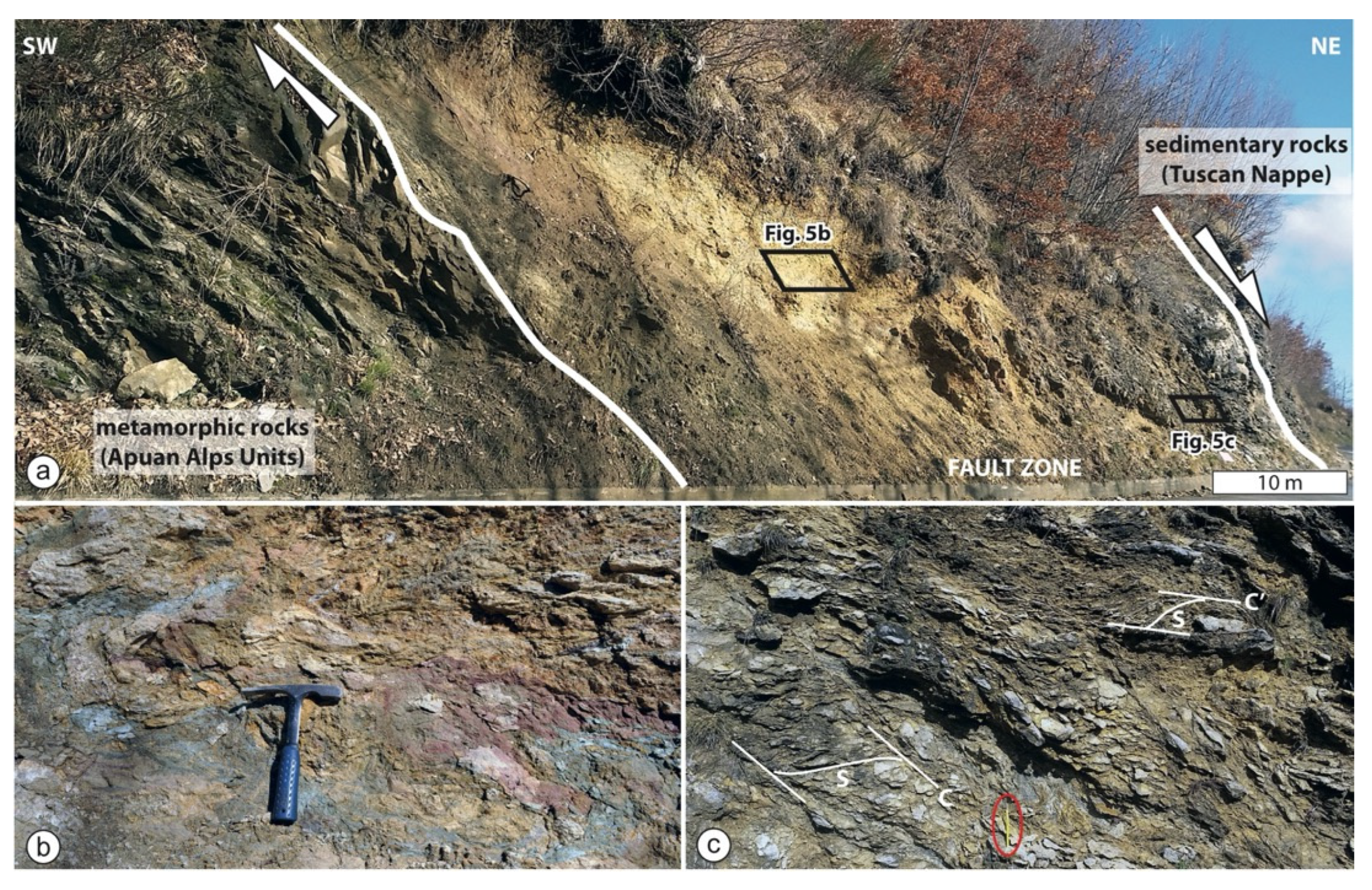 Land 11 01282 g005 550