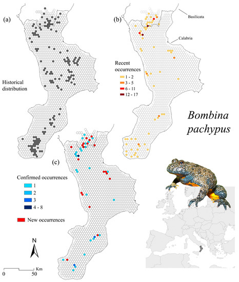 https://www.mdpi.com/land/land-11-01292/article_deploy/html/images/land-11-01292-g002-550.jpg