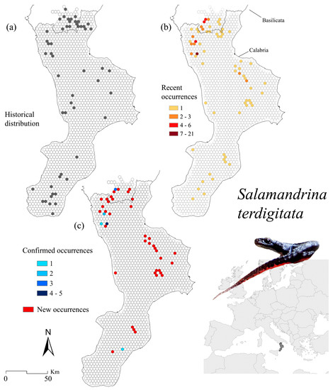https://www.mdpi.com/land/land-11-01292/article_deploy/html/images/land-11-01292-g003-550.jpg