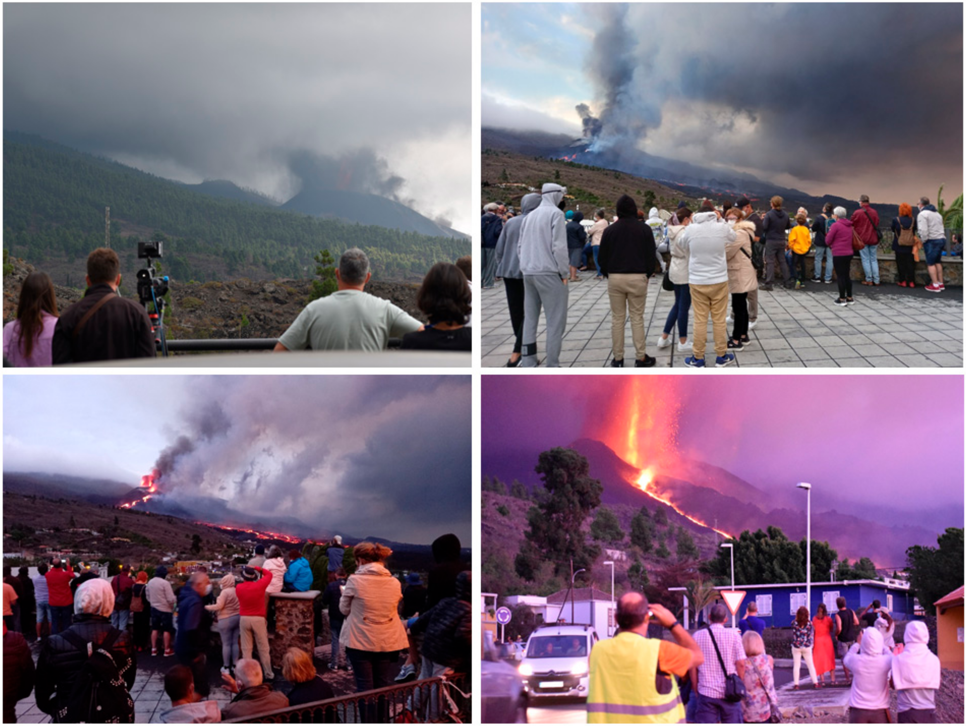 Land 11 01337 g004 Land 11 01337 g004