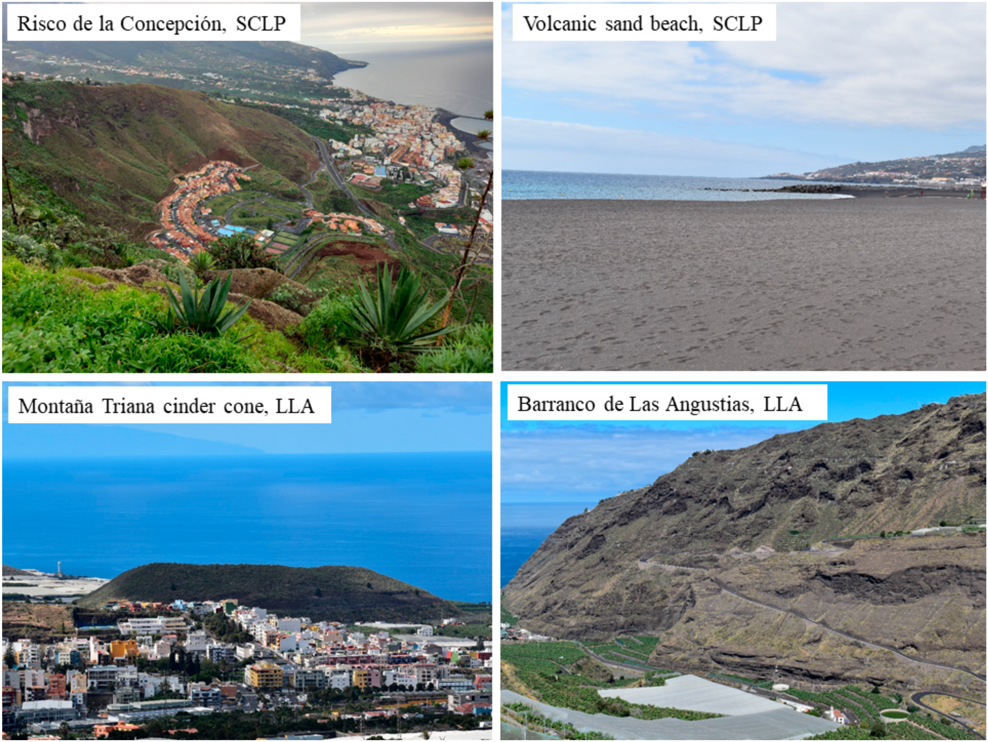 Land 11 01337 g007 Land 11 01337 g007