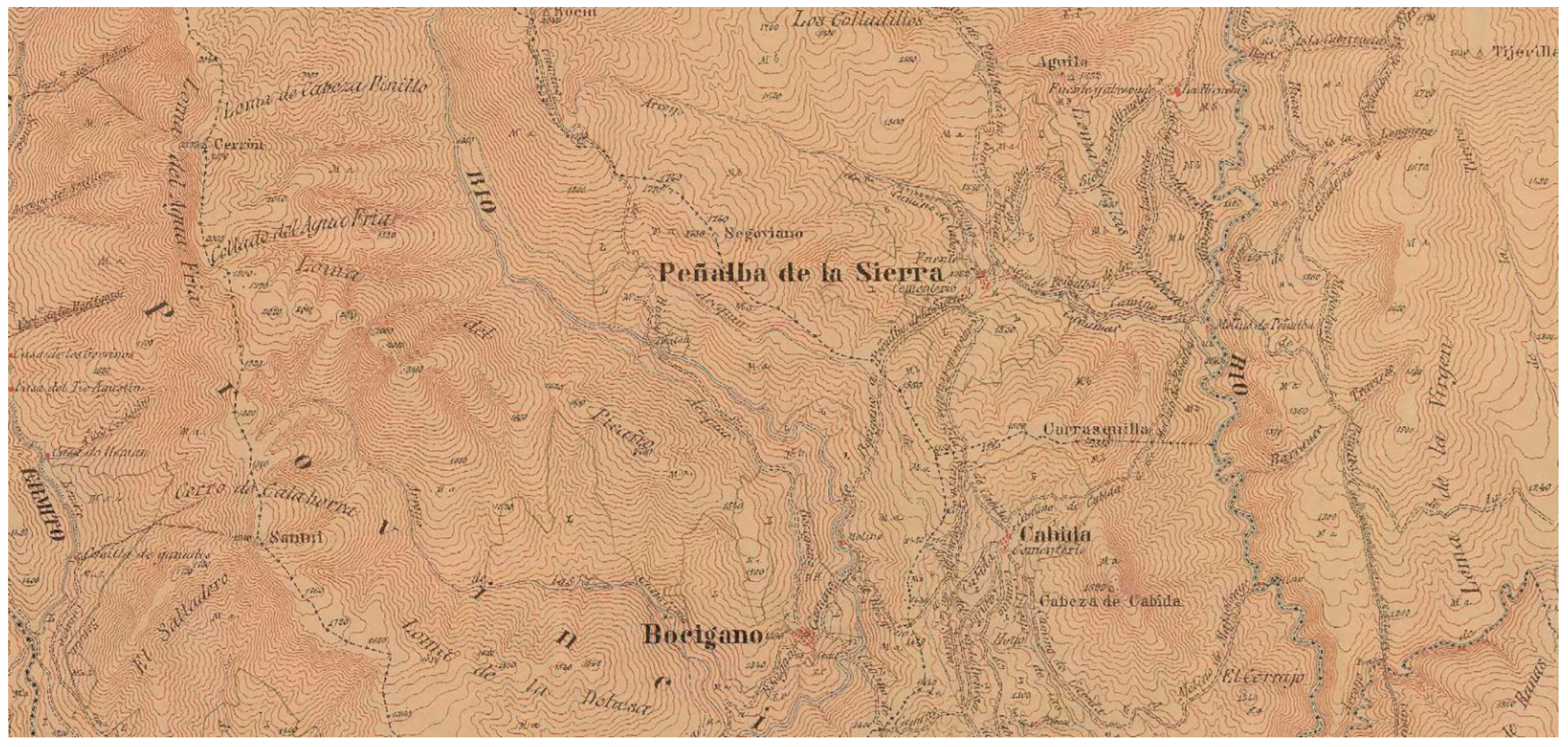 Land 11 01358 g004 550