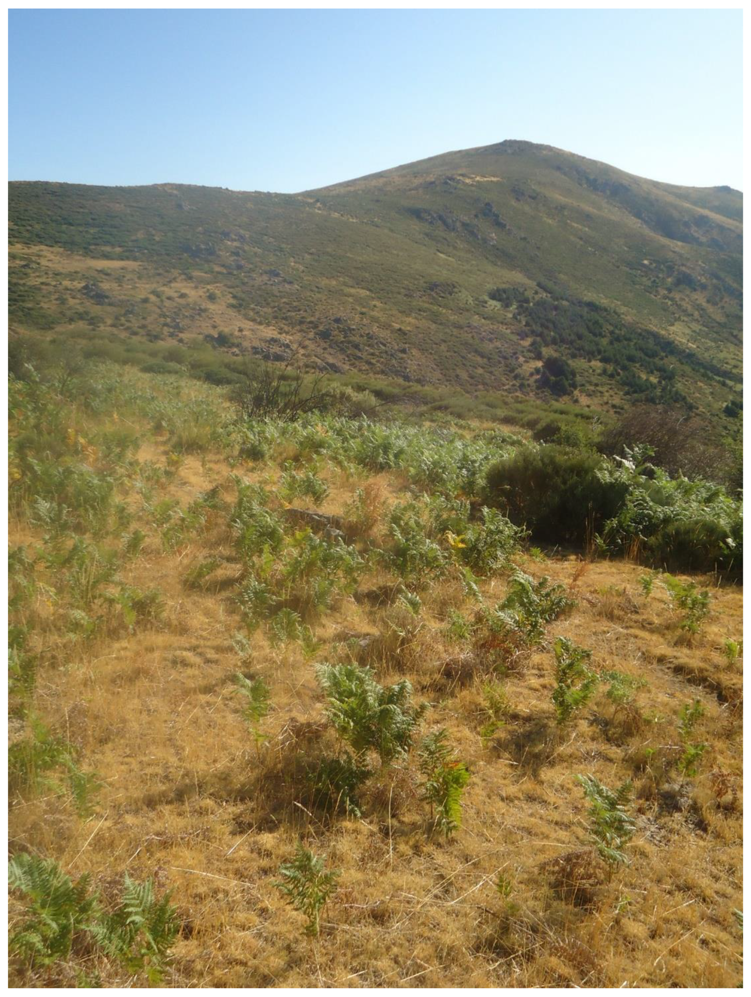 Land 11 01358 g007 550