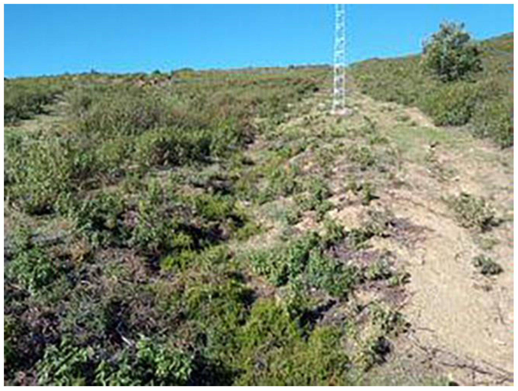 Land 11 01358 g008 550