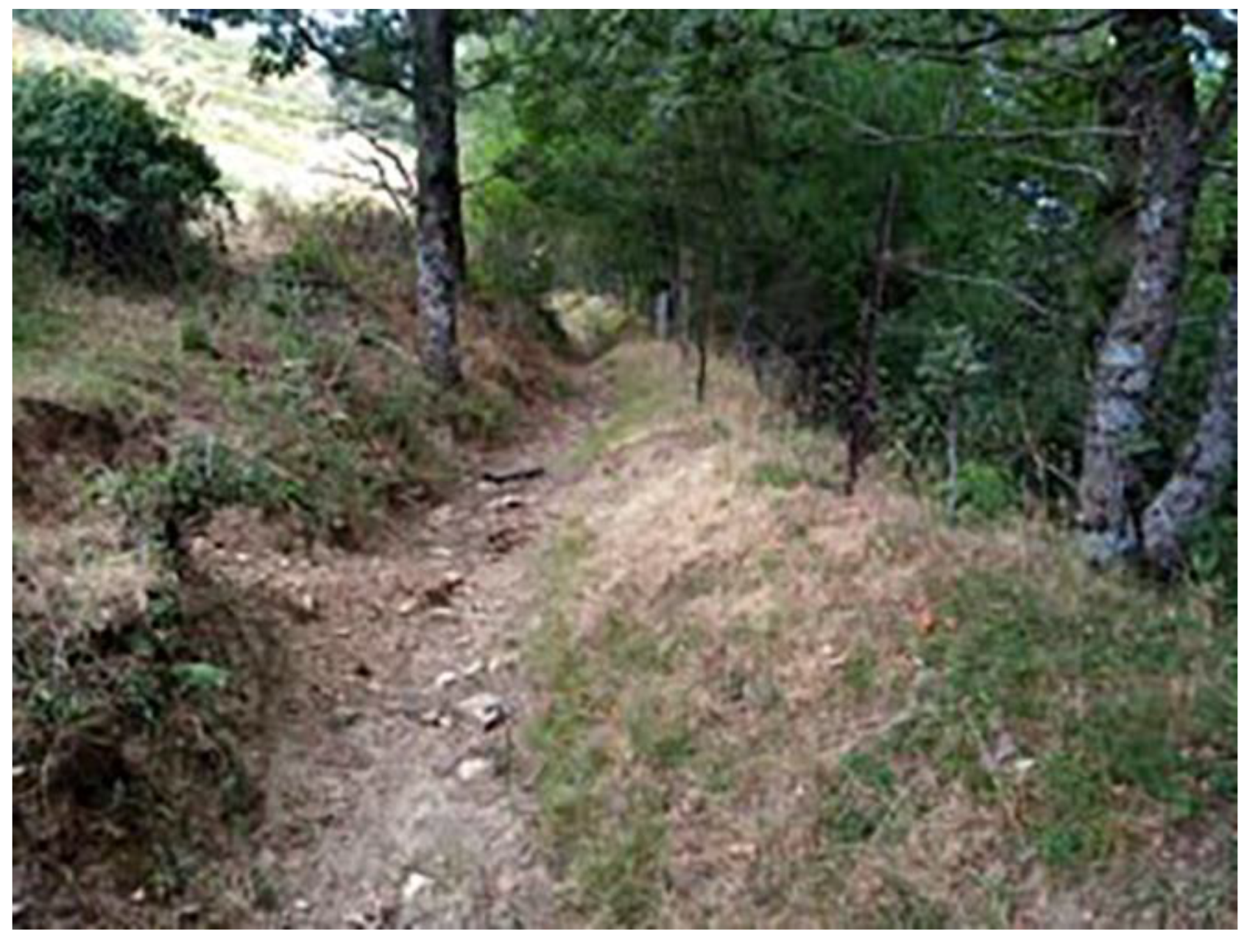 Land 11 01358 g009 550